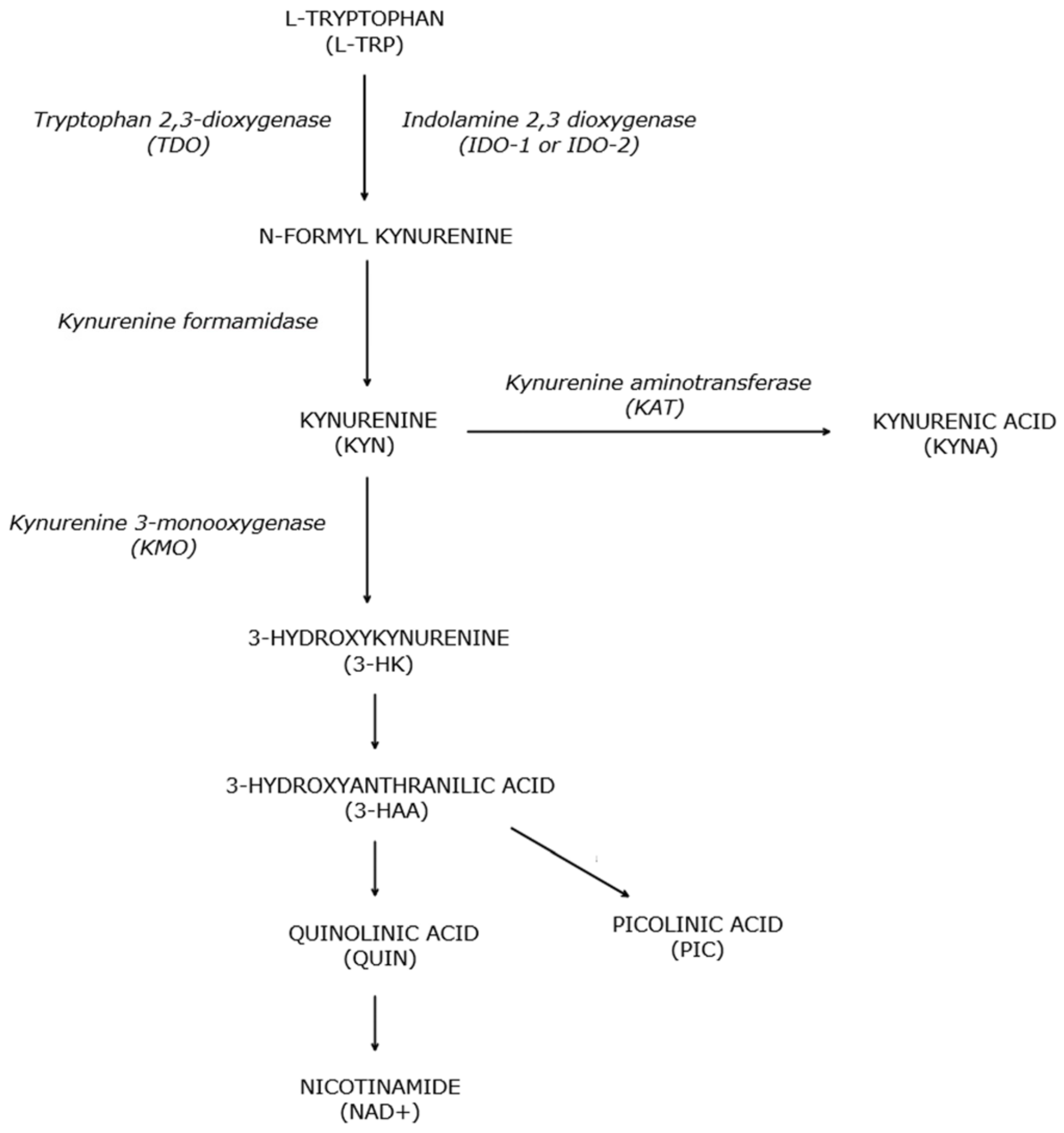 Brainsci 14 01163 g001
