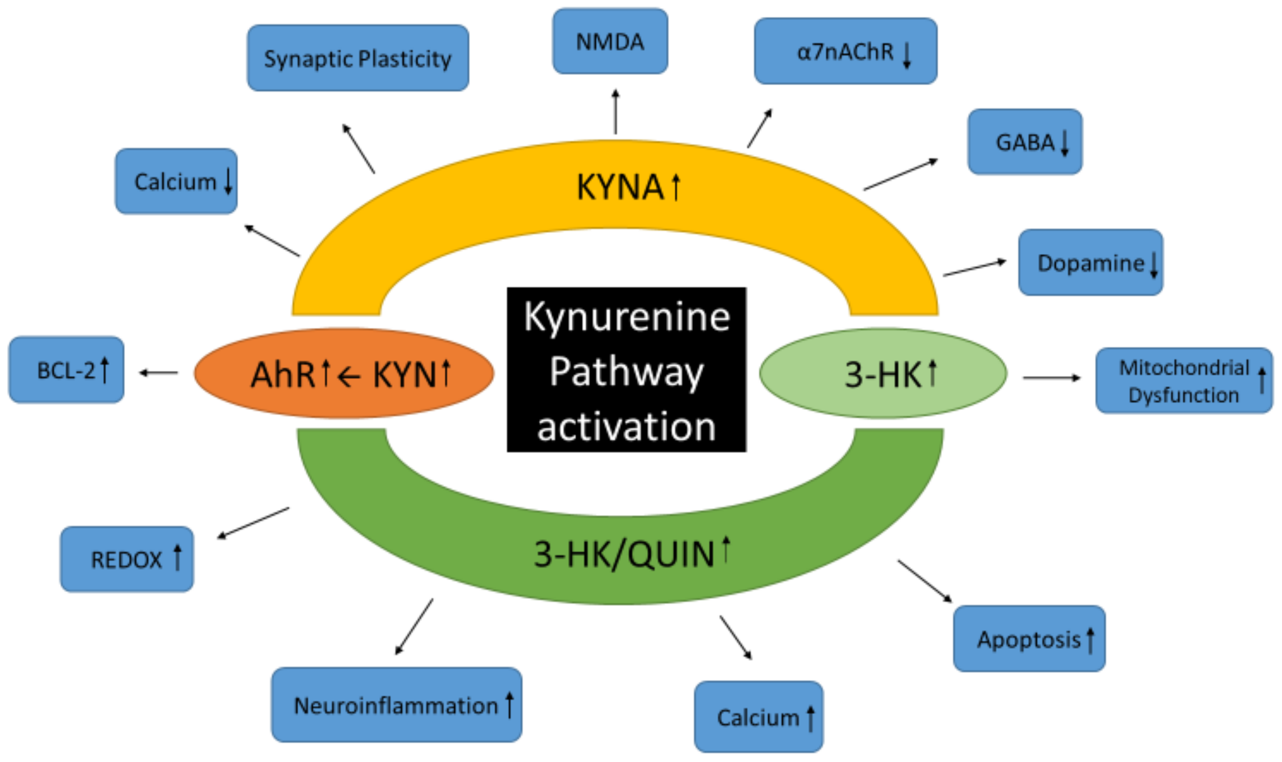 Brainsci 14 01163 g003