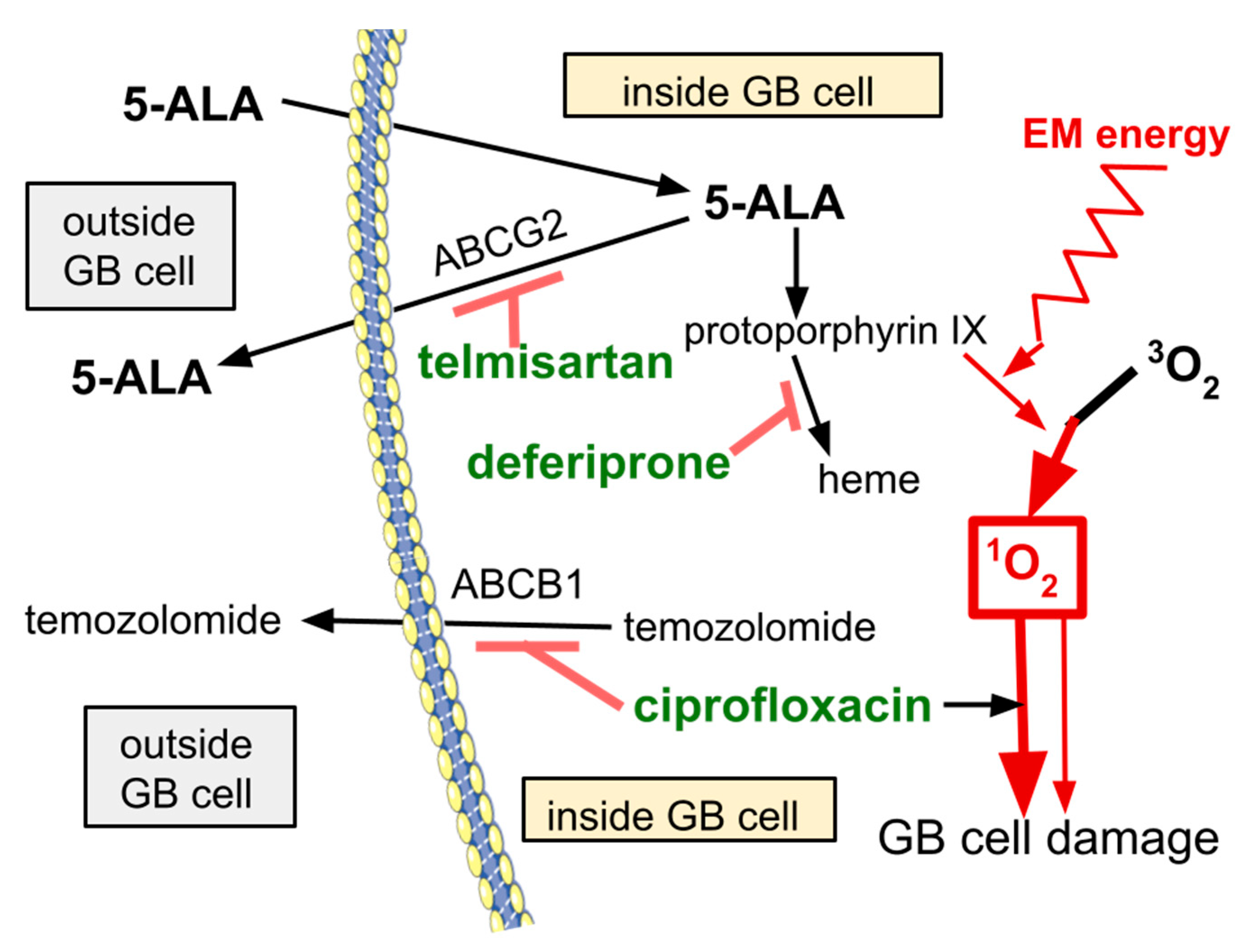 Brainsci 14 01164 g002