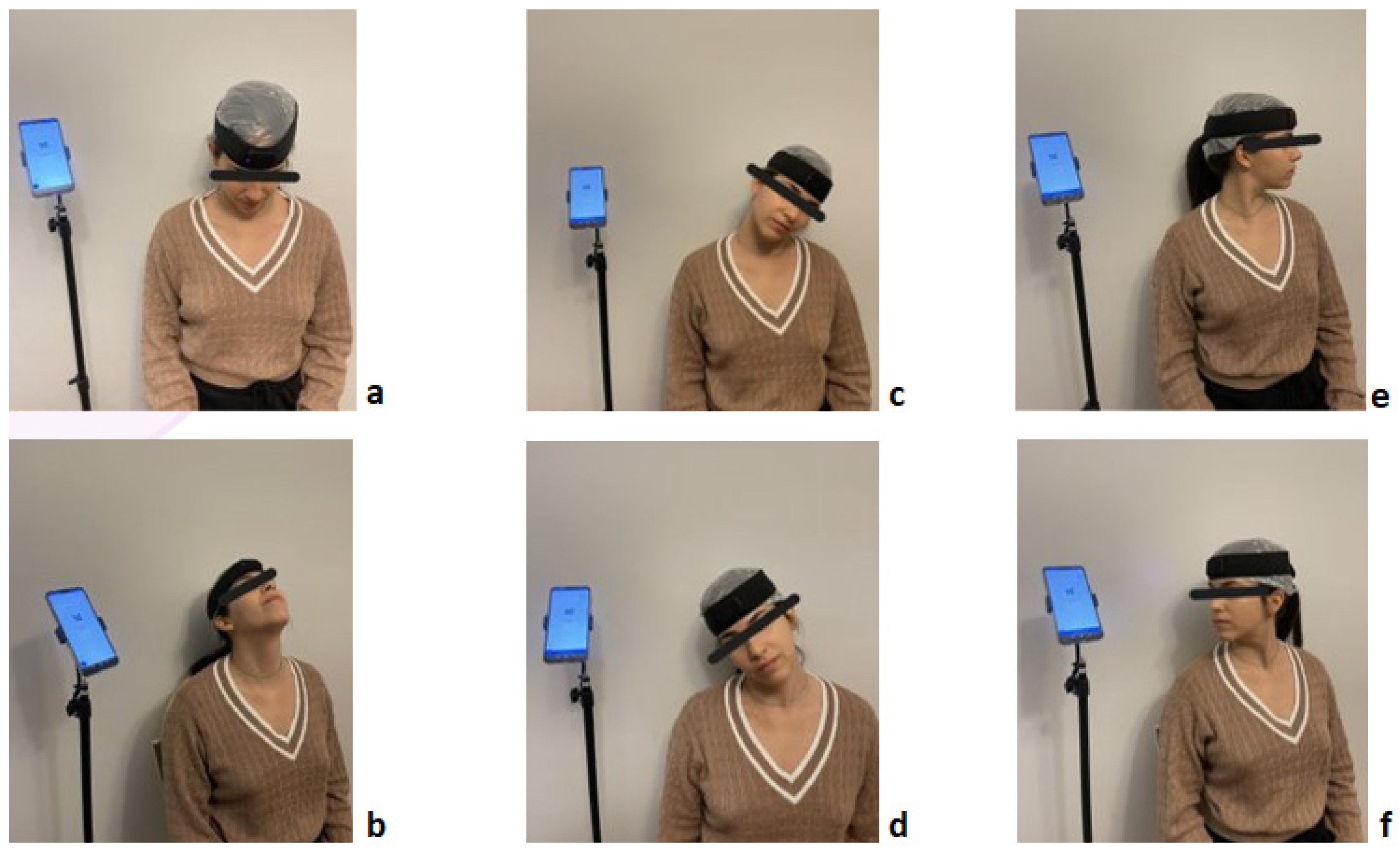 Brainsci 14 01165 g001