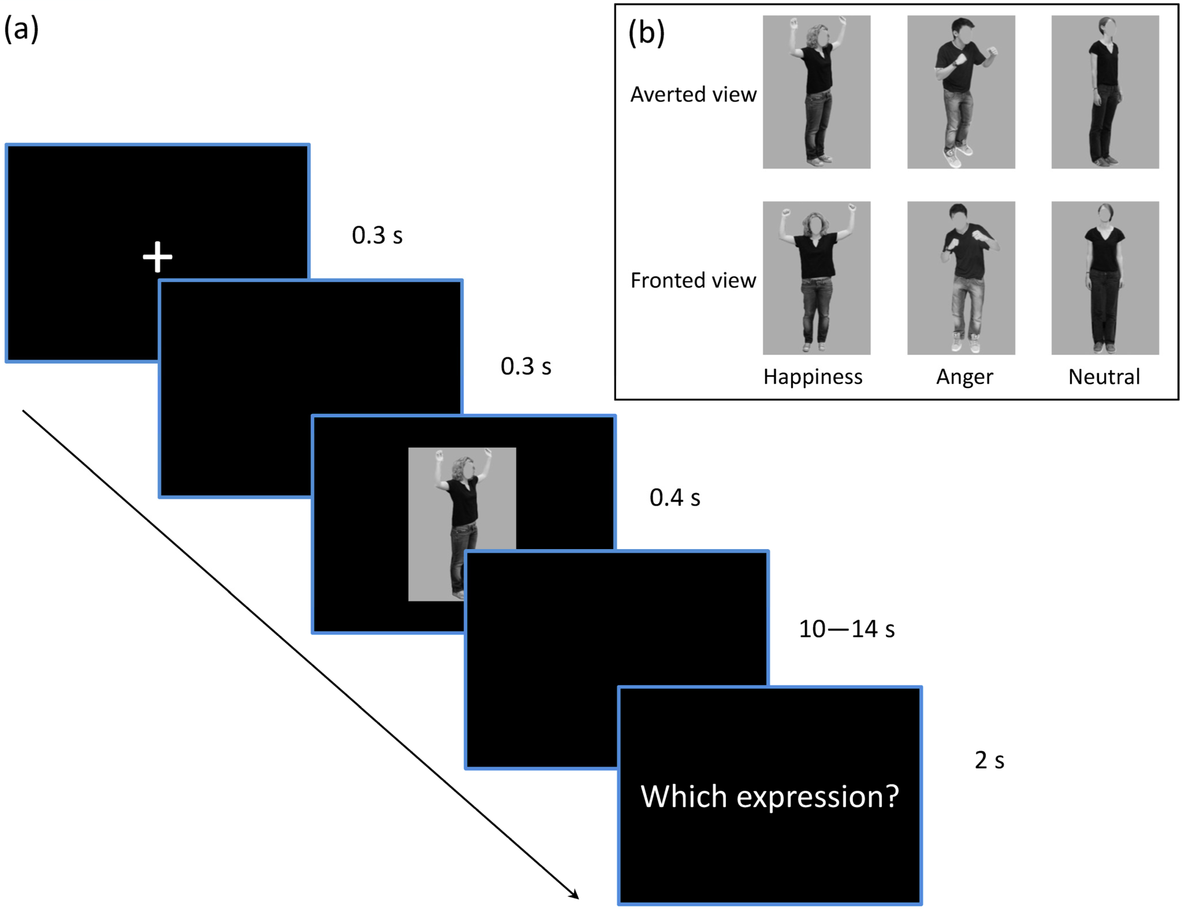 Brainsci 14 01172 g001