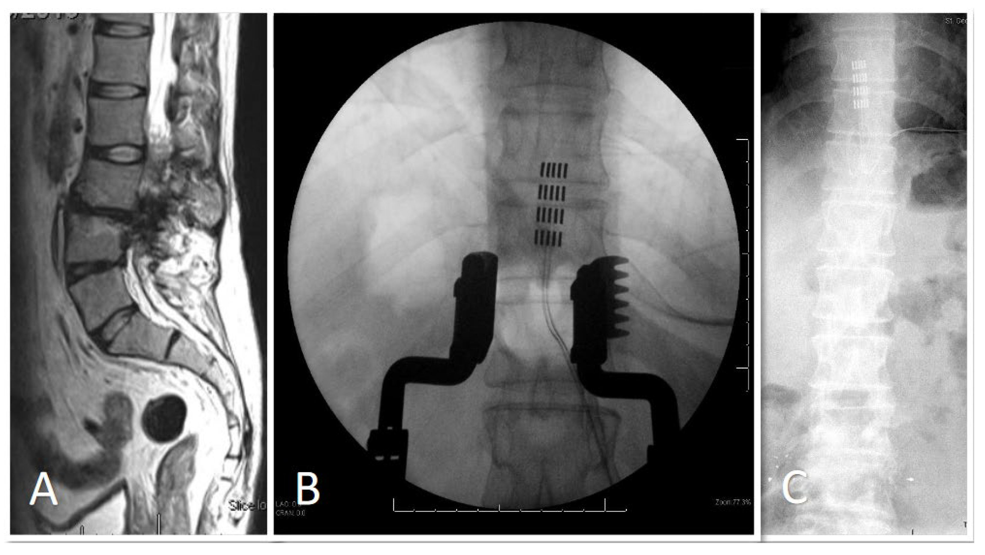 Brainsci 14 01173 g003
