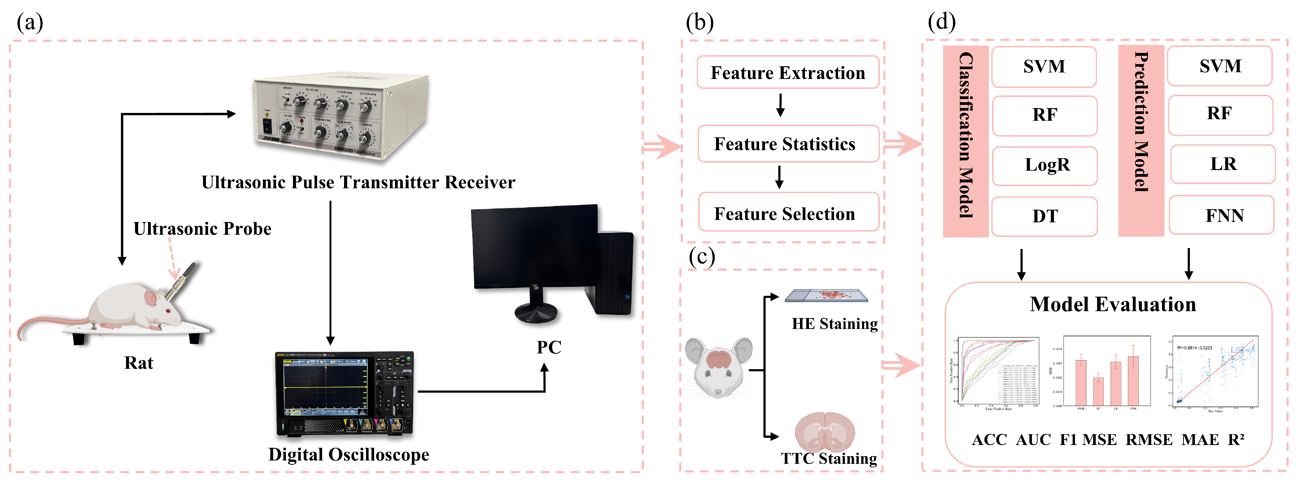 Brainsci 14 01175 g001