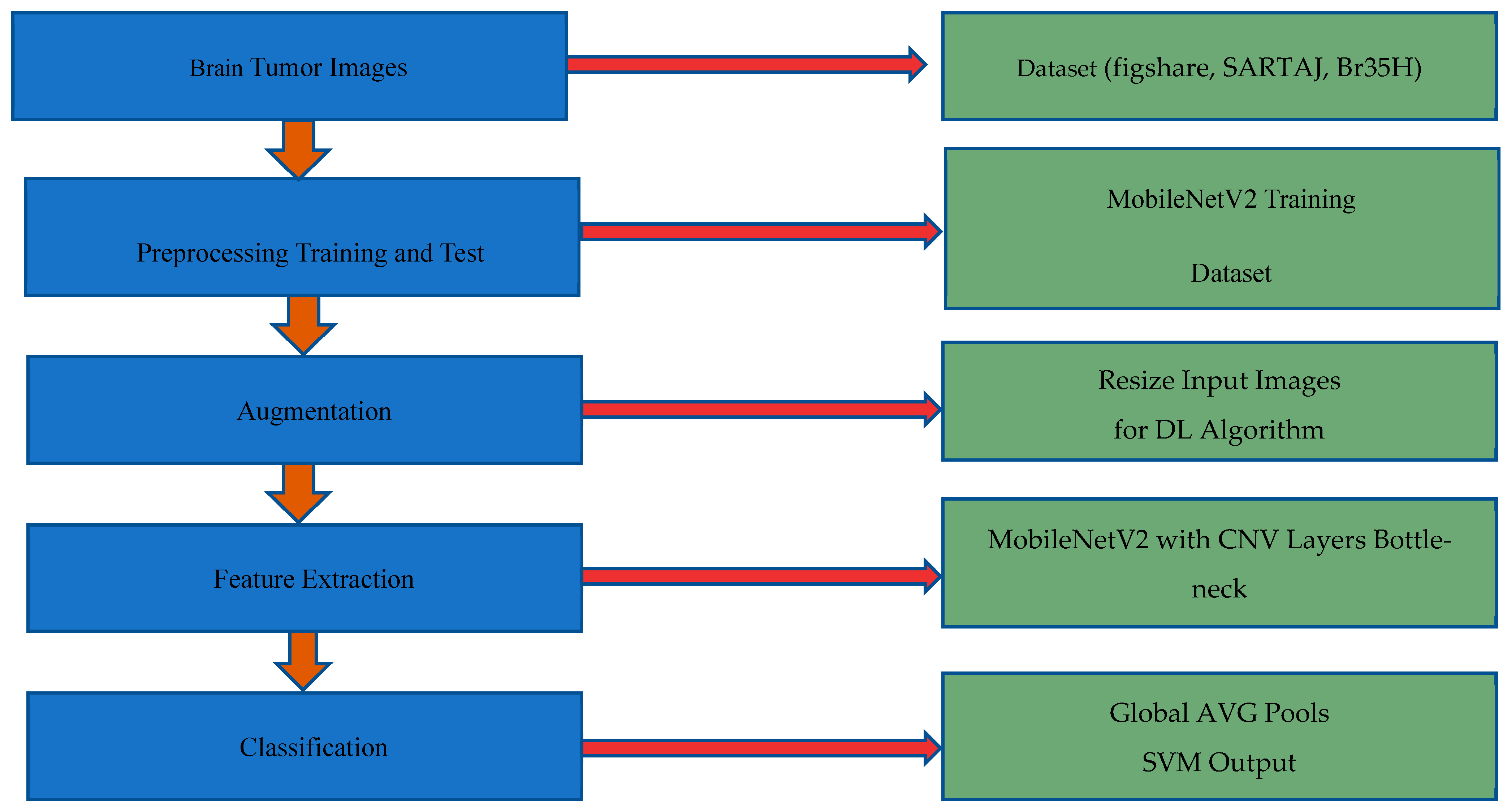 Brainsci 14 01178 g002