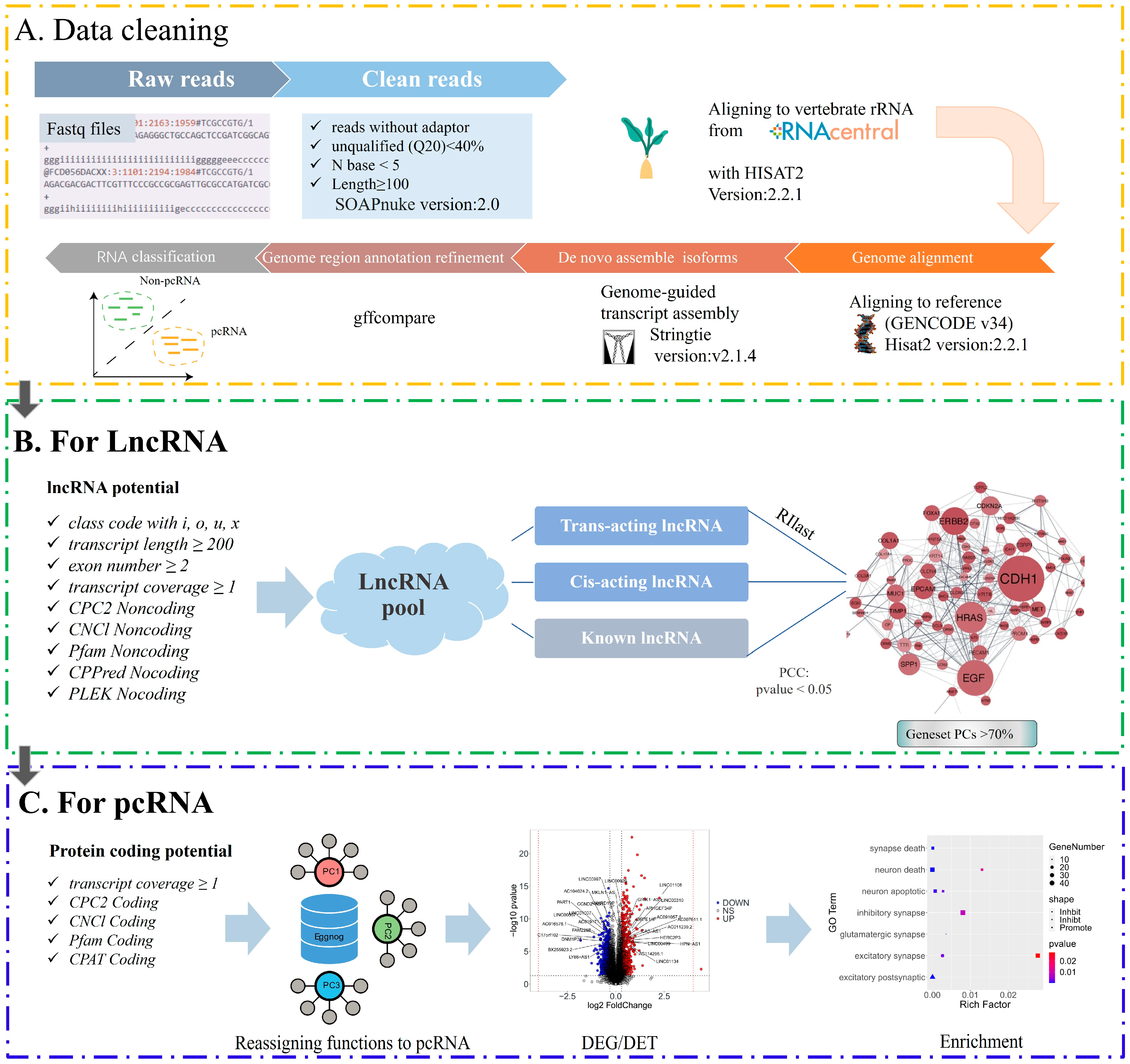 Brainsci 14 01180 g001
