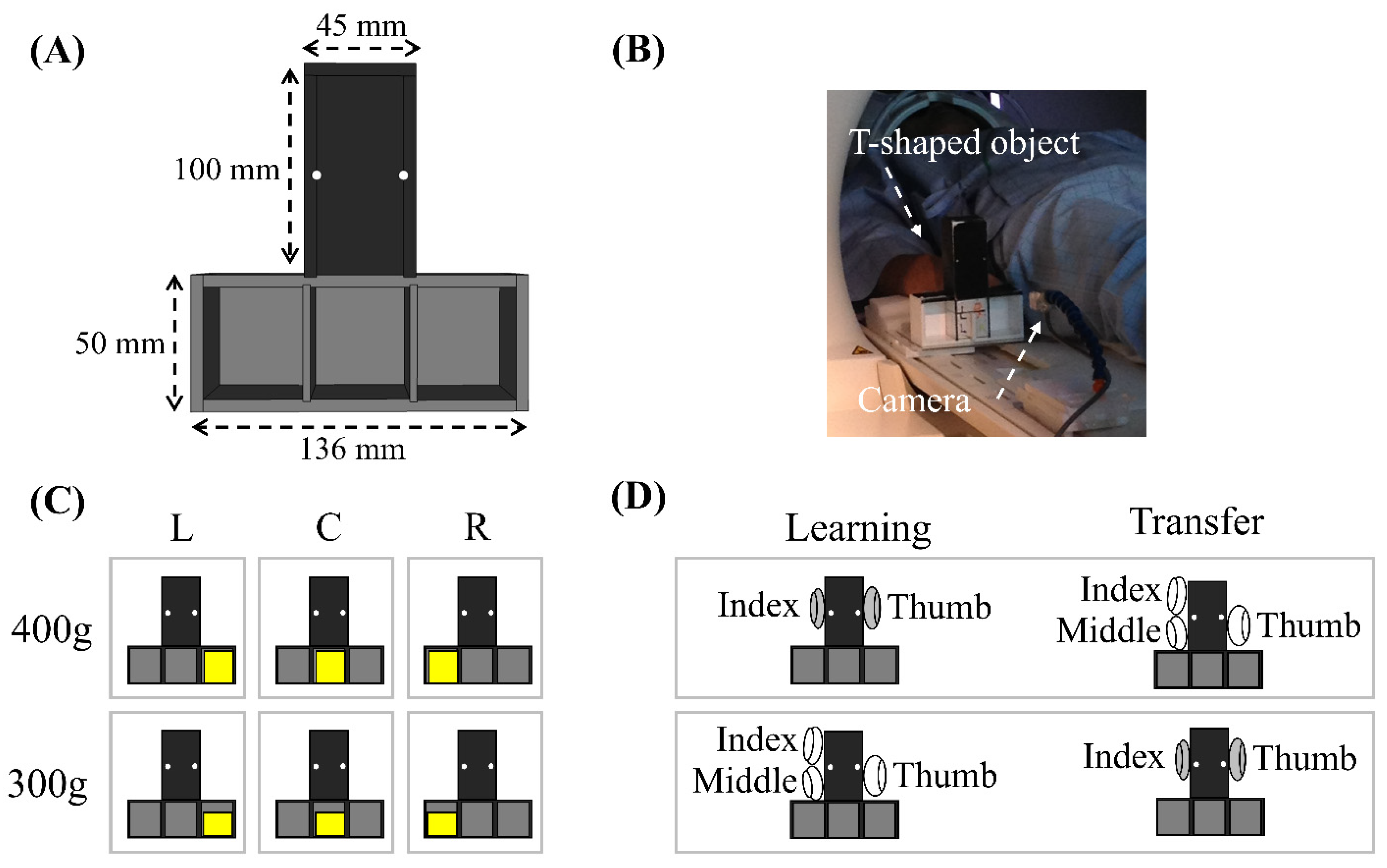 Brainsci 14 01184 g001