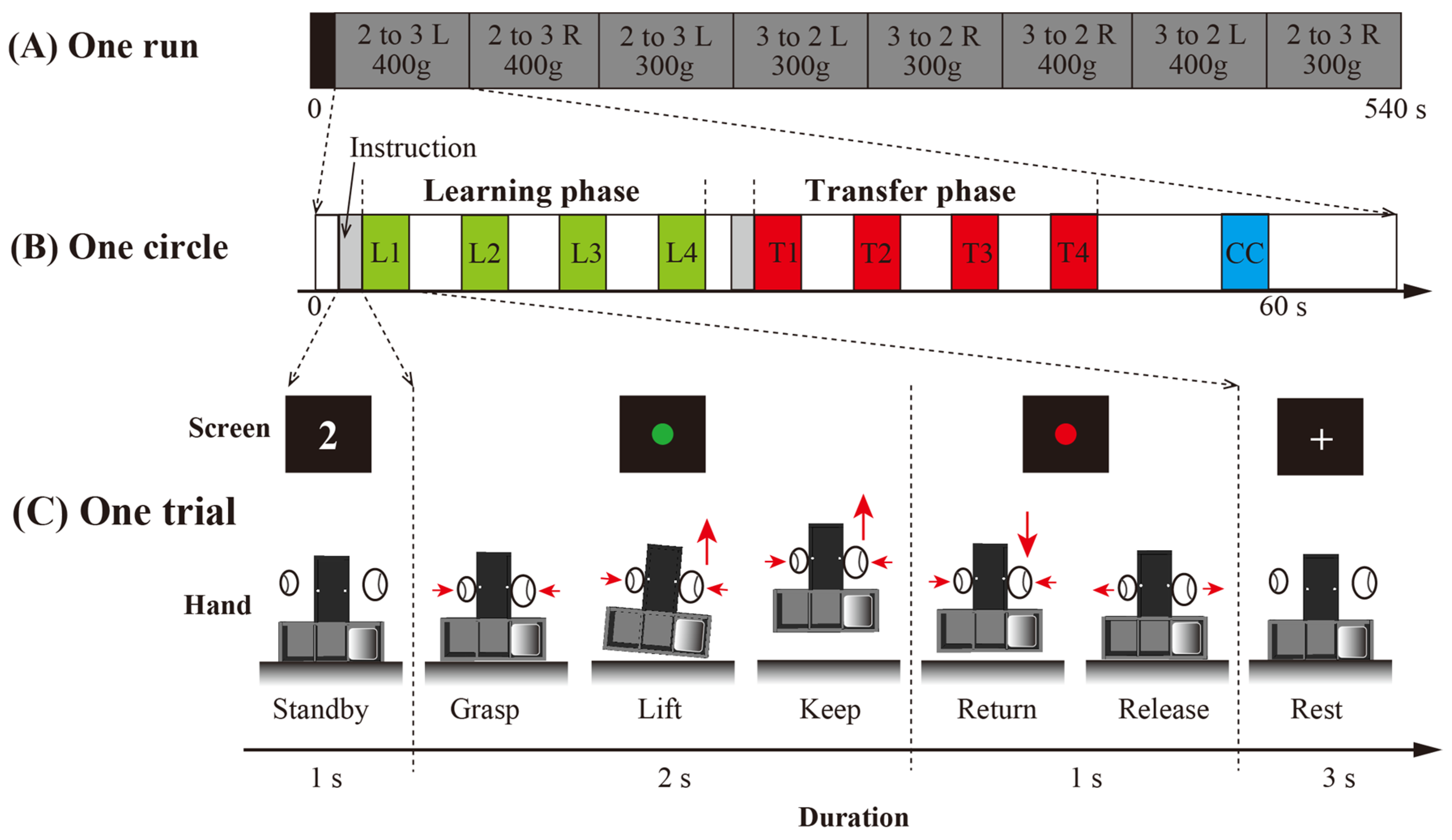 Brainsci 14 01184 g002