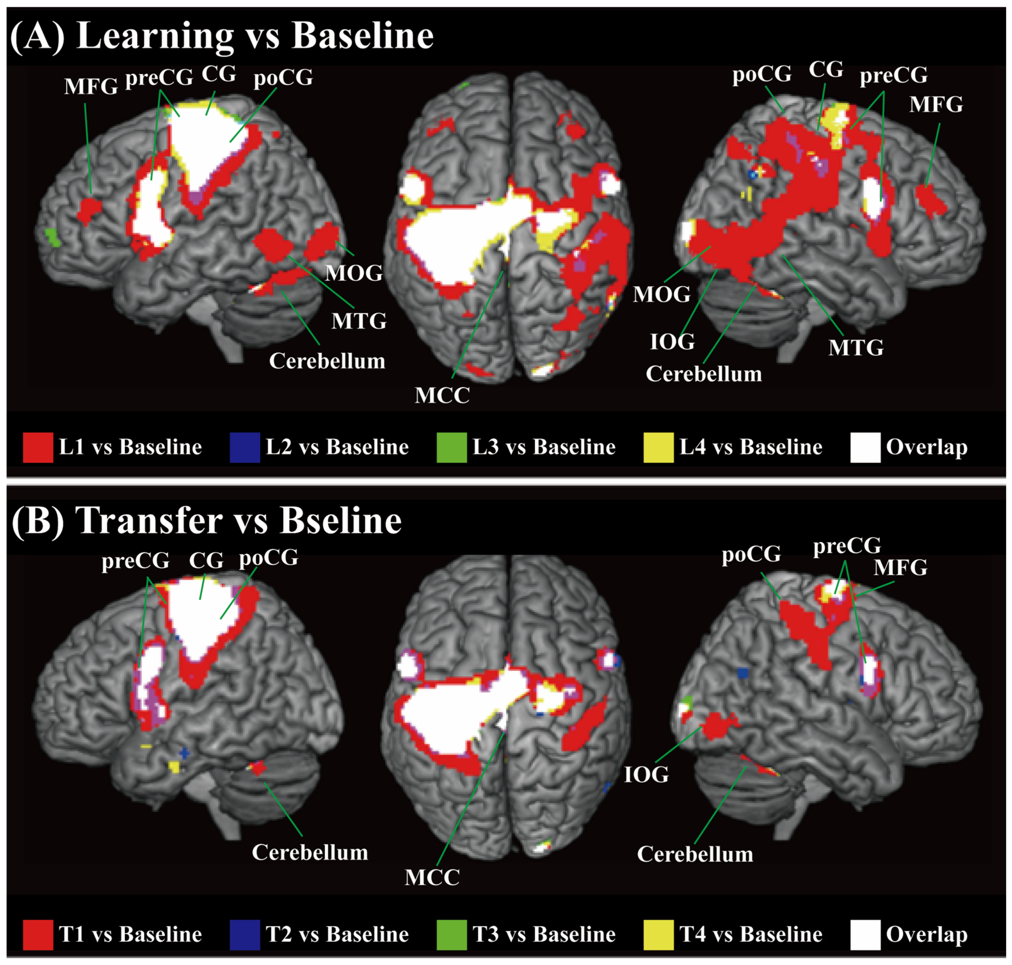 Brainsci 14 01184 g003