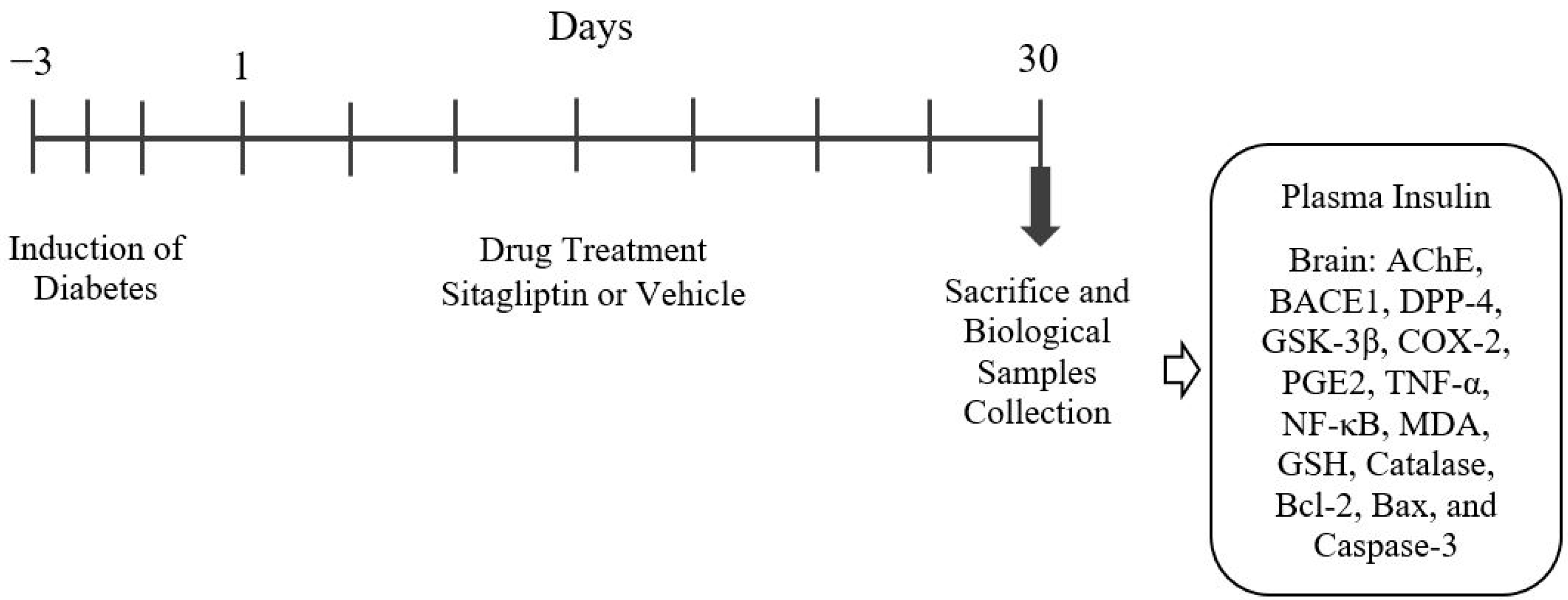 Brainsci 14 01191 g001