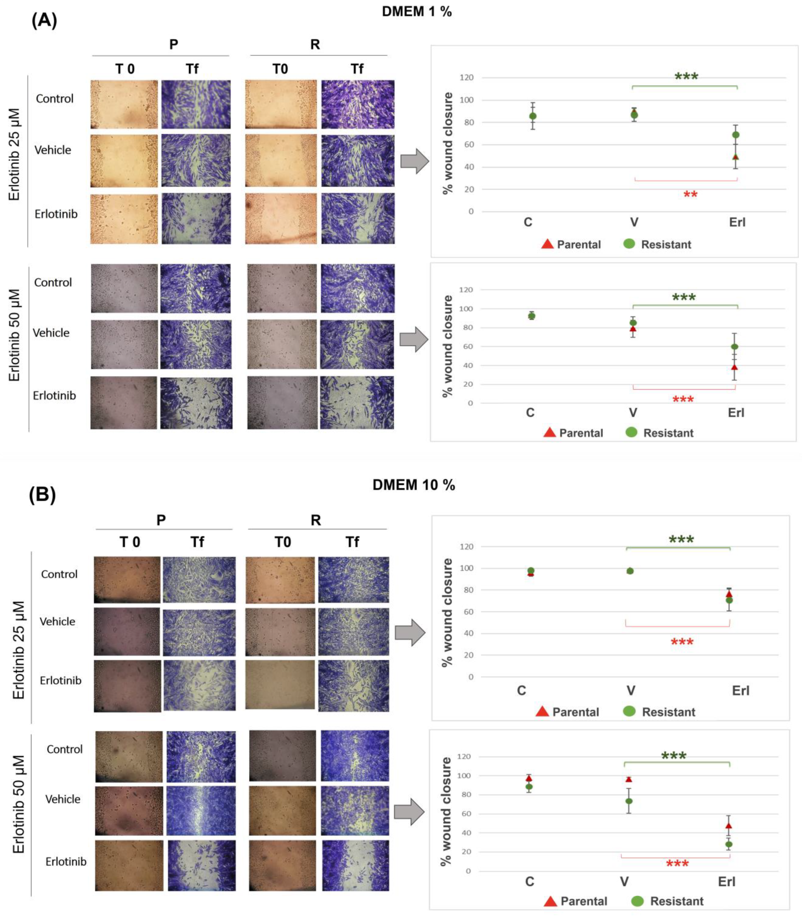 Brainsci 14 01192 g005