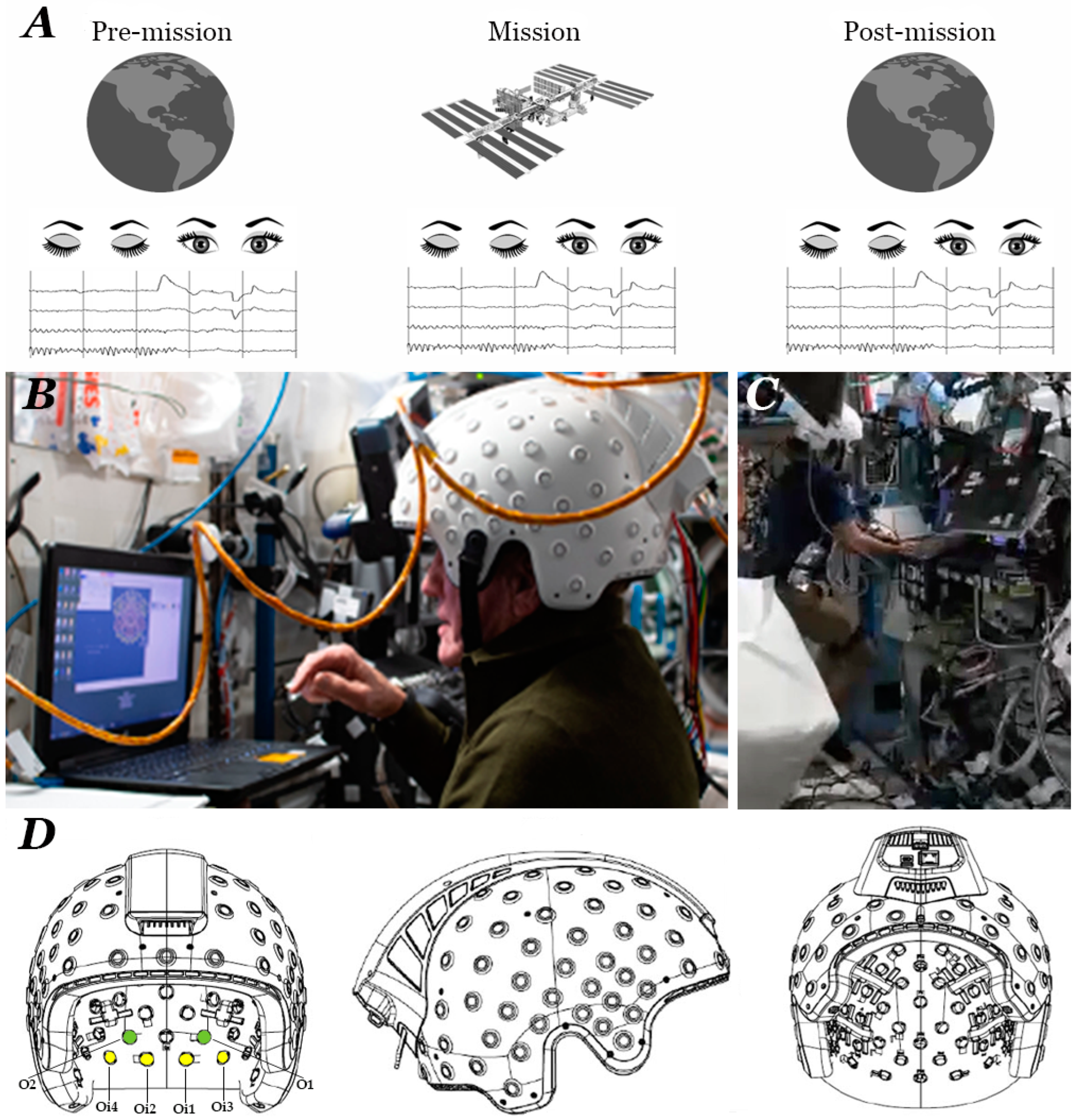 Brainsci 14 01194 g001