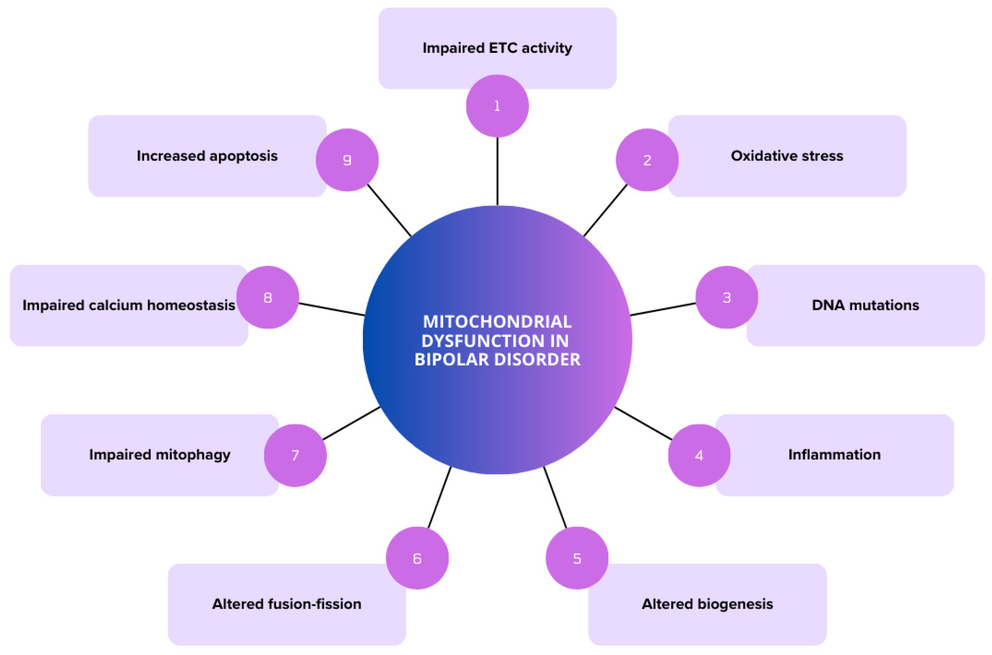 Brainsci 14 01199 g002