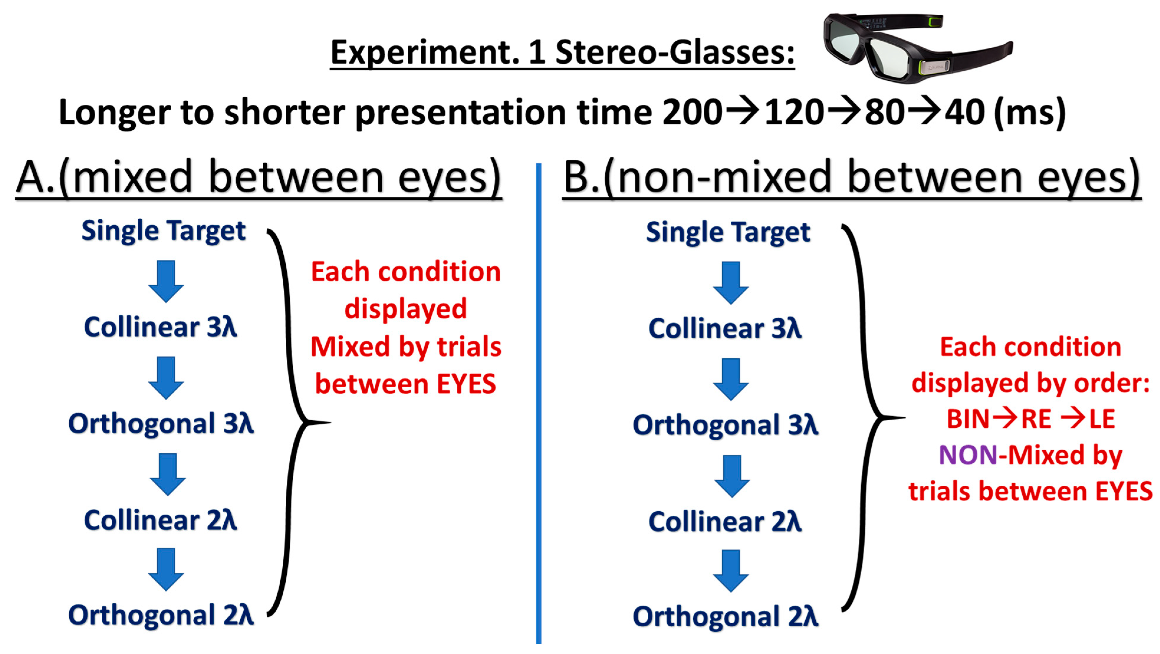 Brainsci 14 01205 g001 Brainsci 14 01205 g001