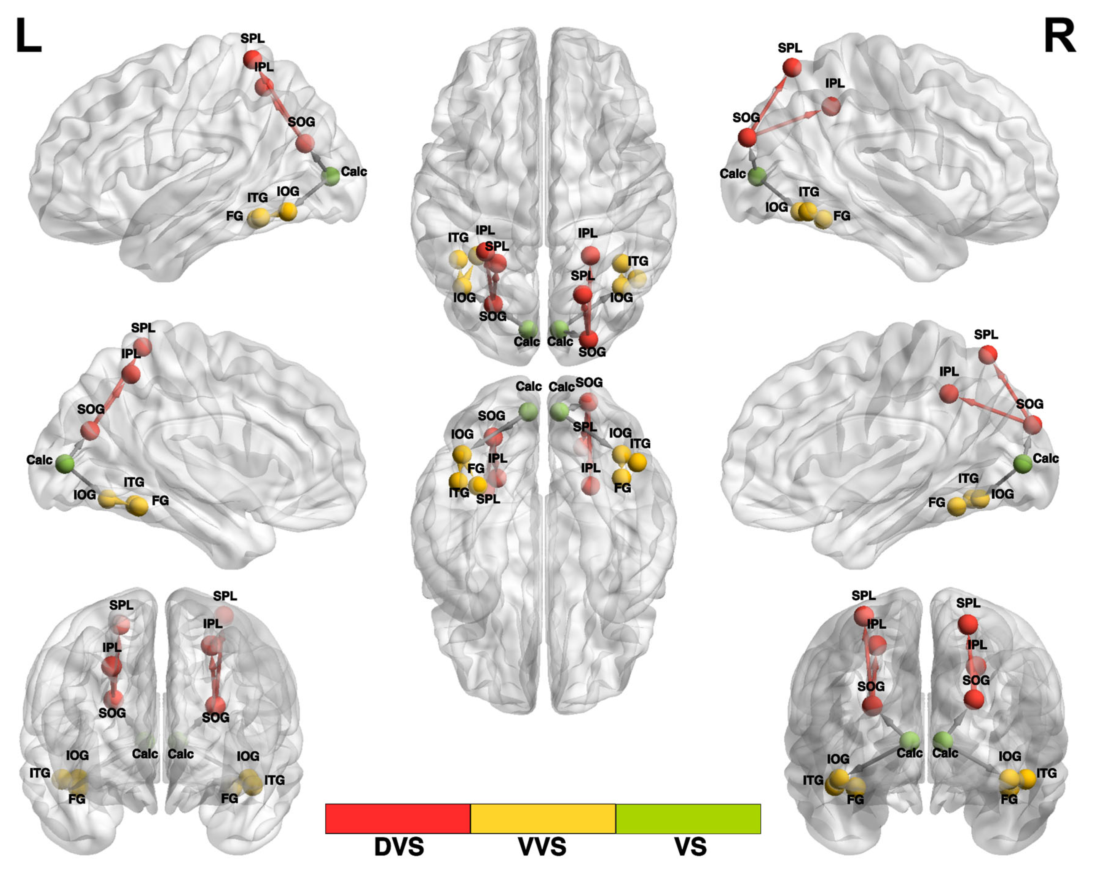 Brainsci 14 01206 g001 Brainsci 14 01206 g001