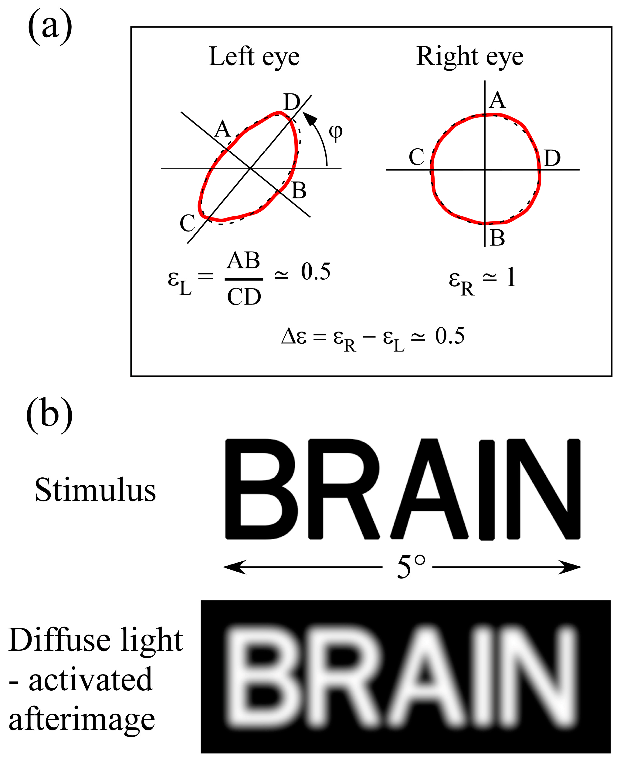 Brainsci 14 01208 g001