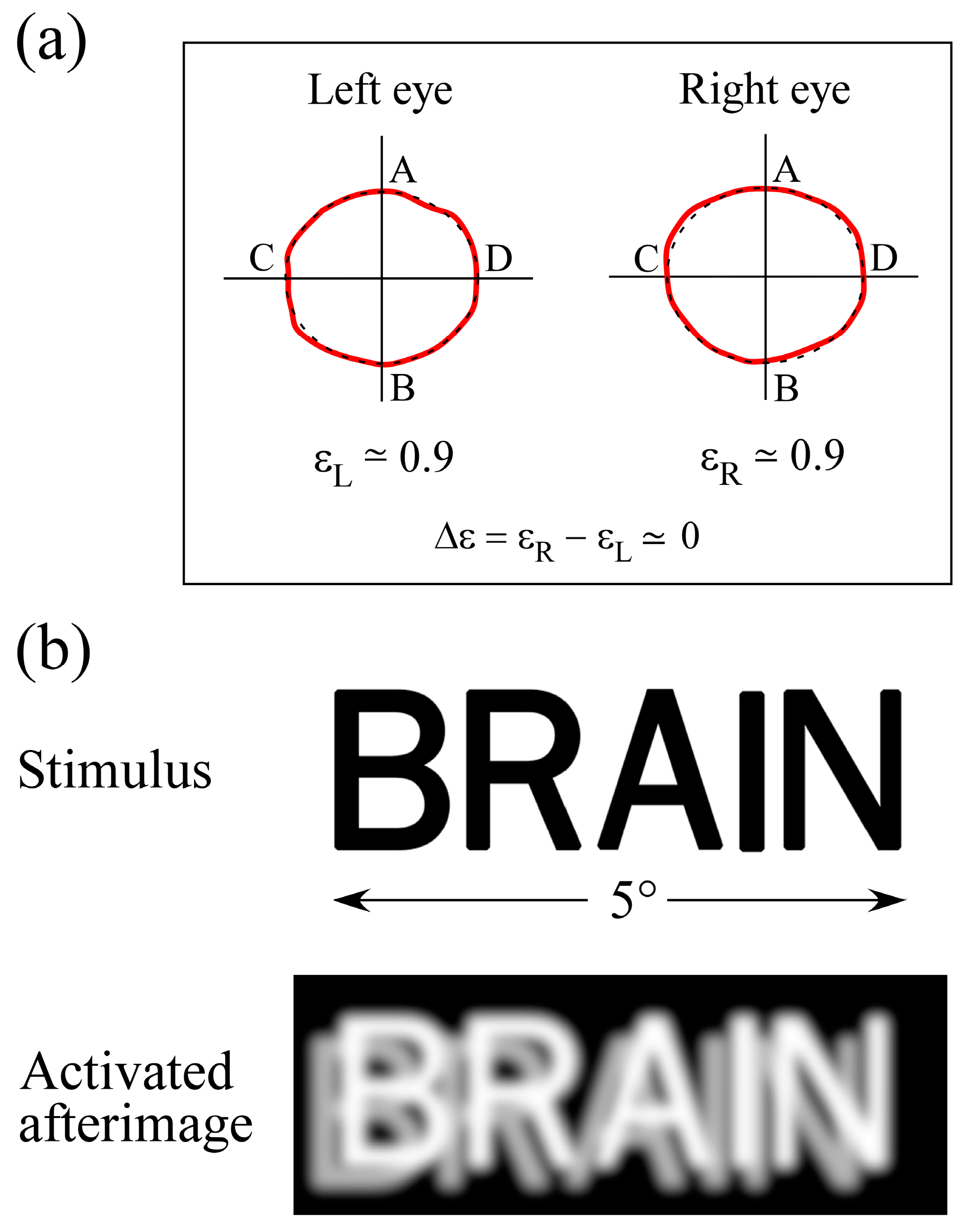 Brainsci 14 01208 g002