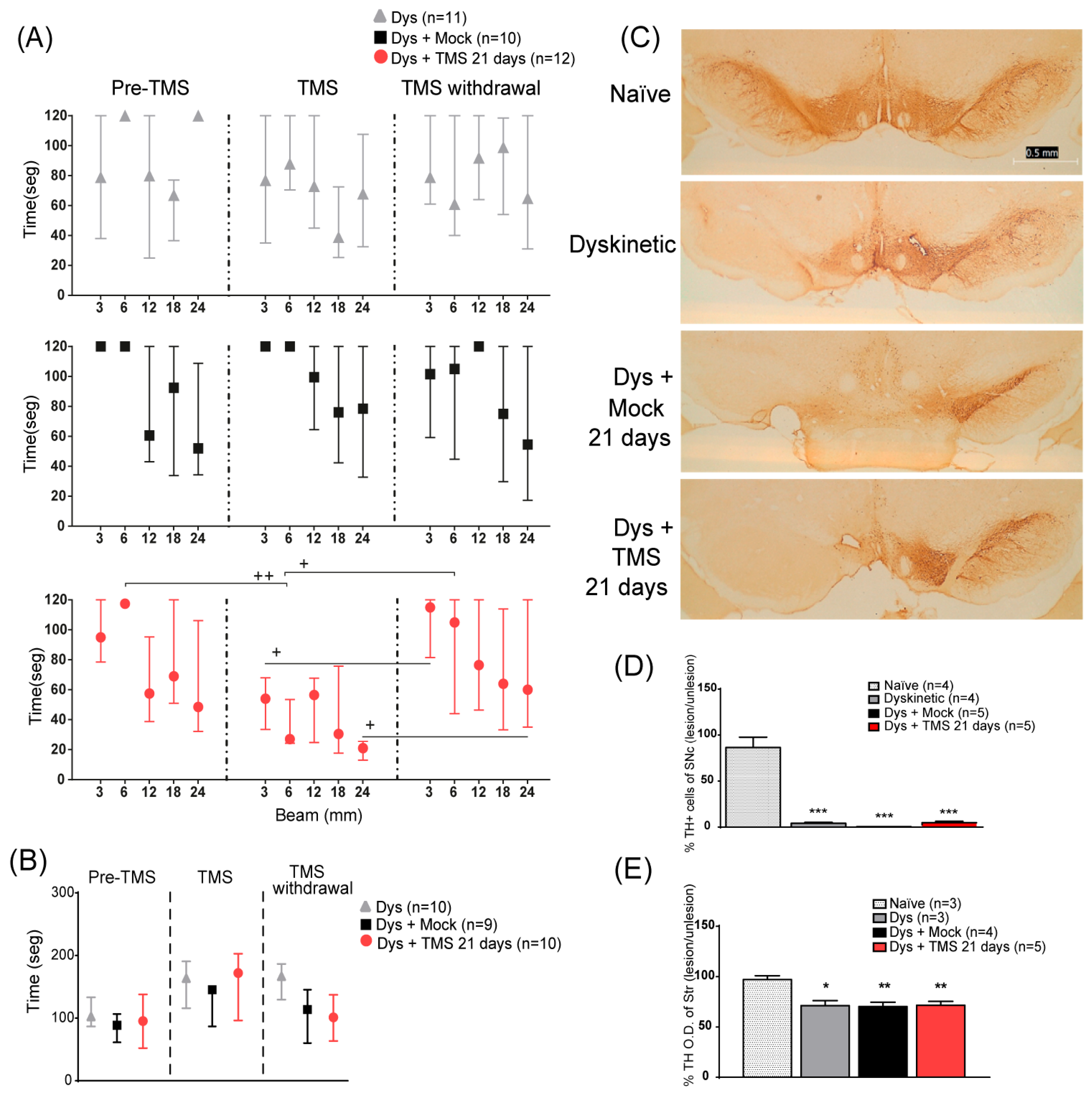Brainsci 14 01214 g003 Brainsci 14 01214 g003