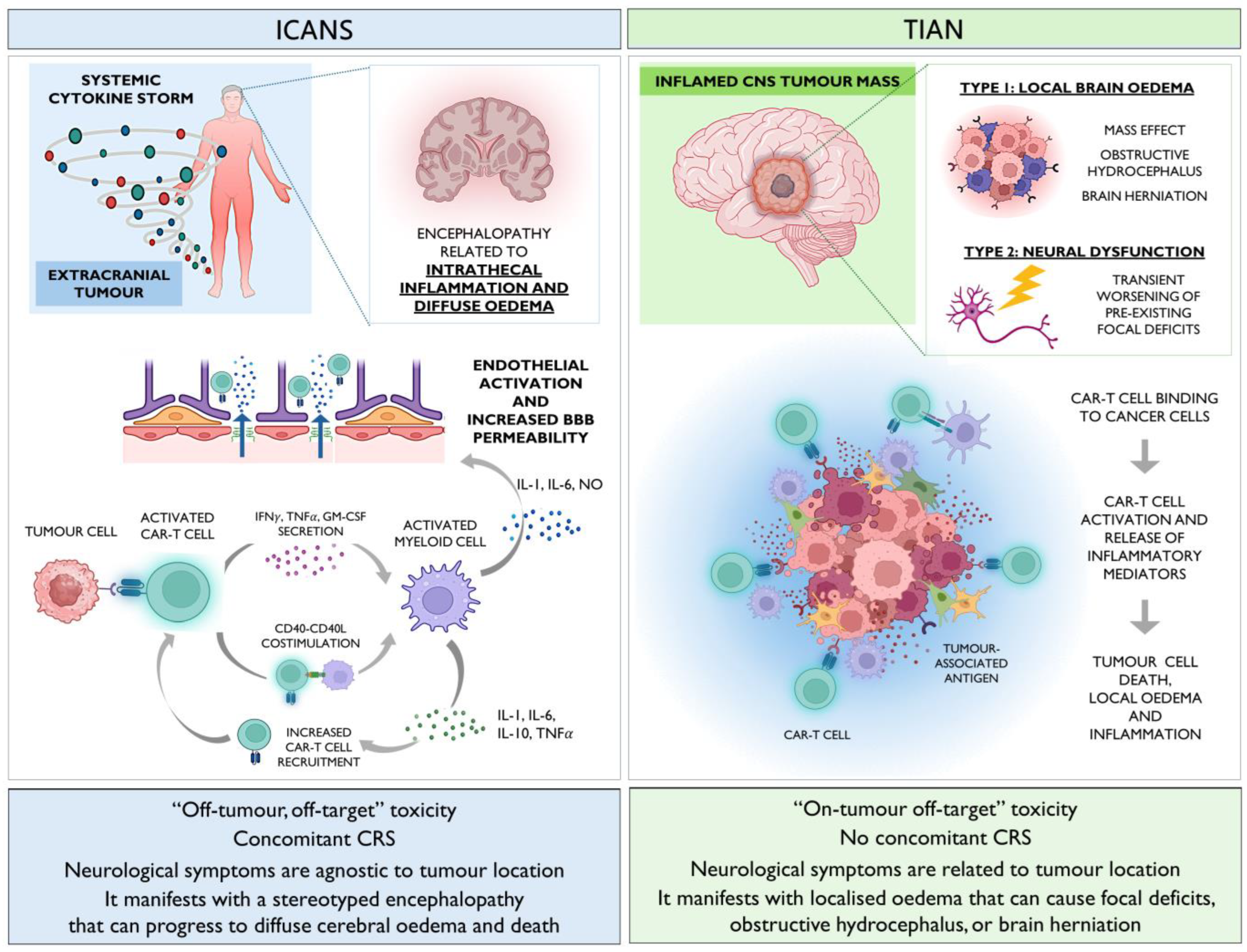 Central Nervous System Tumors 裁断済み Molecular neuropathology: an essential and evolving toolbox