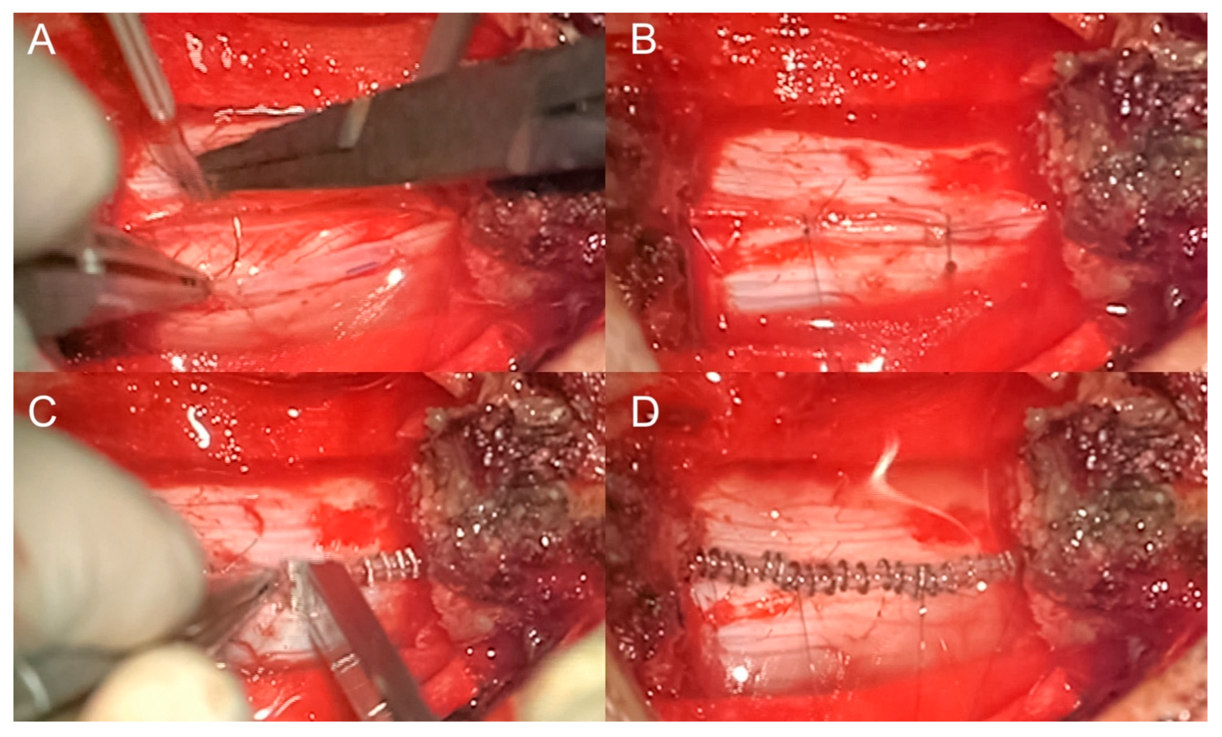 Brainsci 14 01223 g001