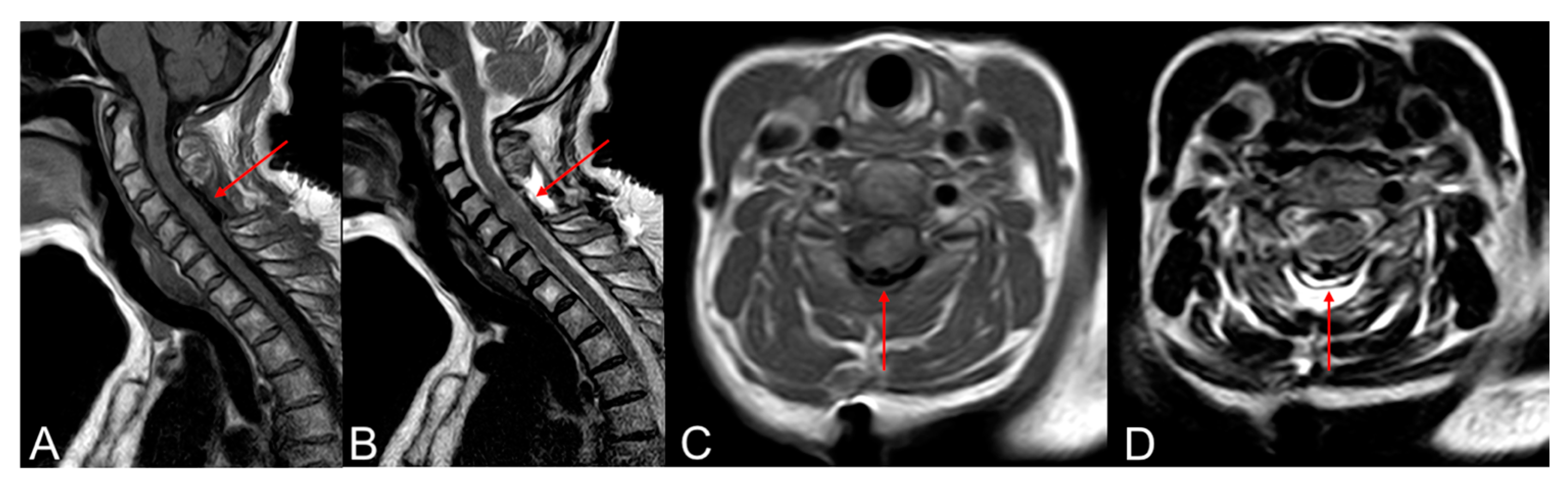 Brainsci 14 01223 g002