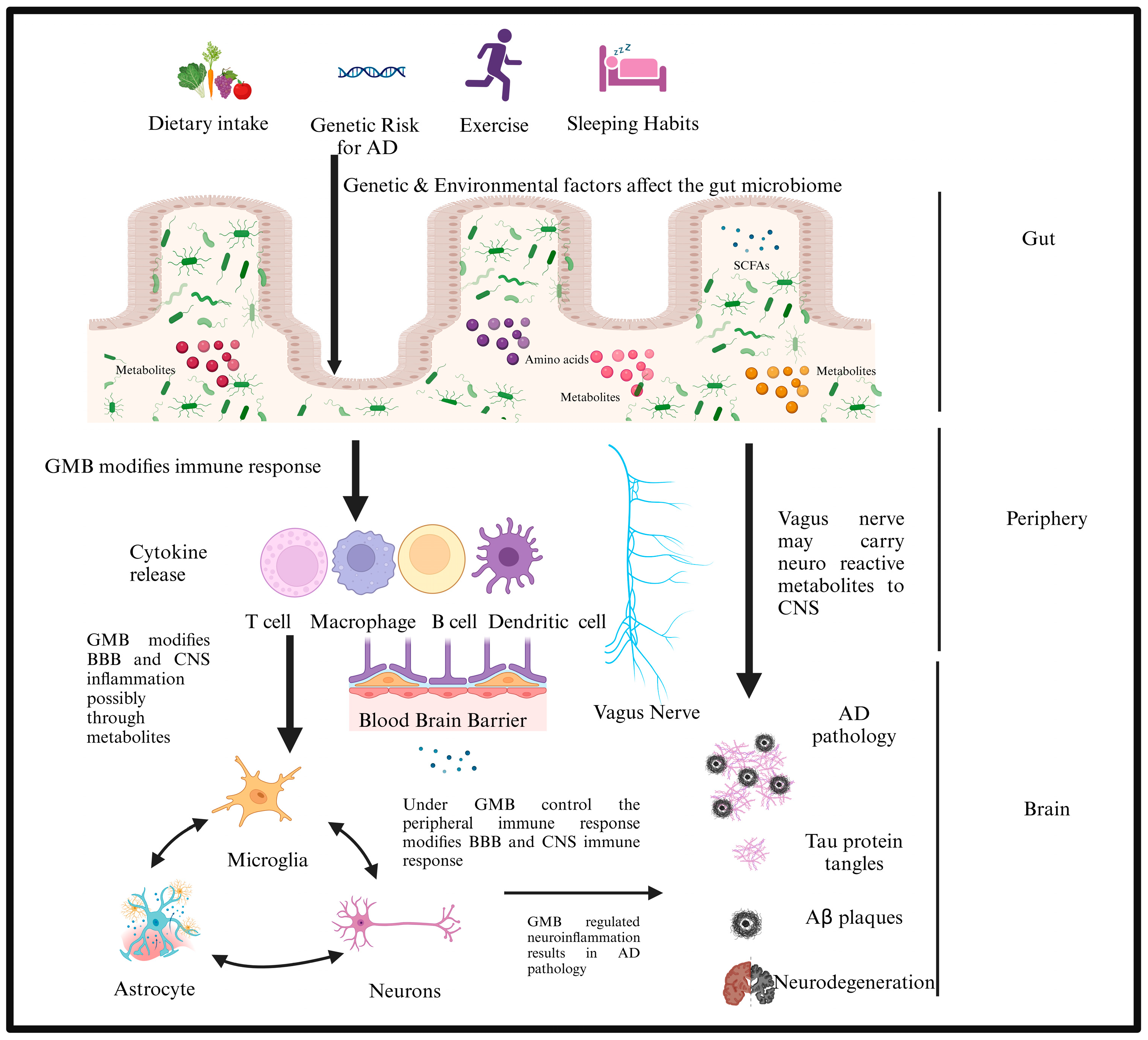 Brainsci 14 01224 g002