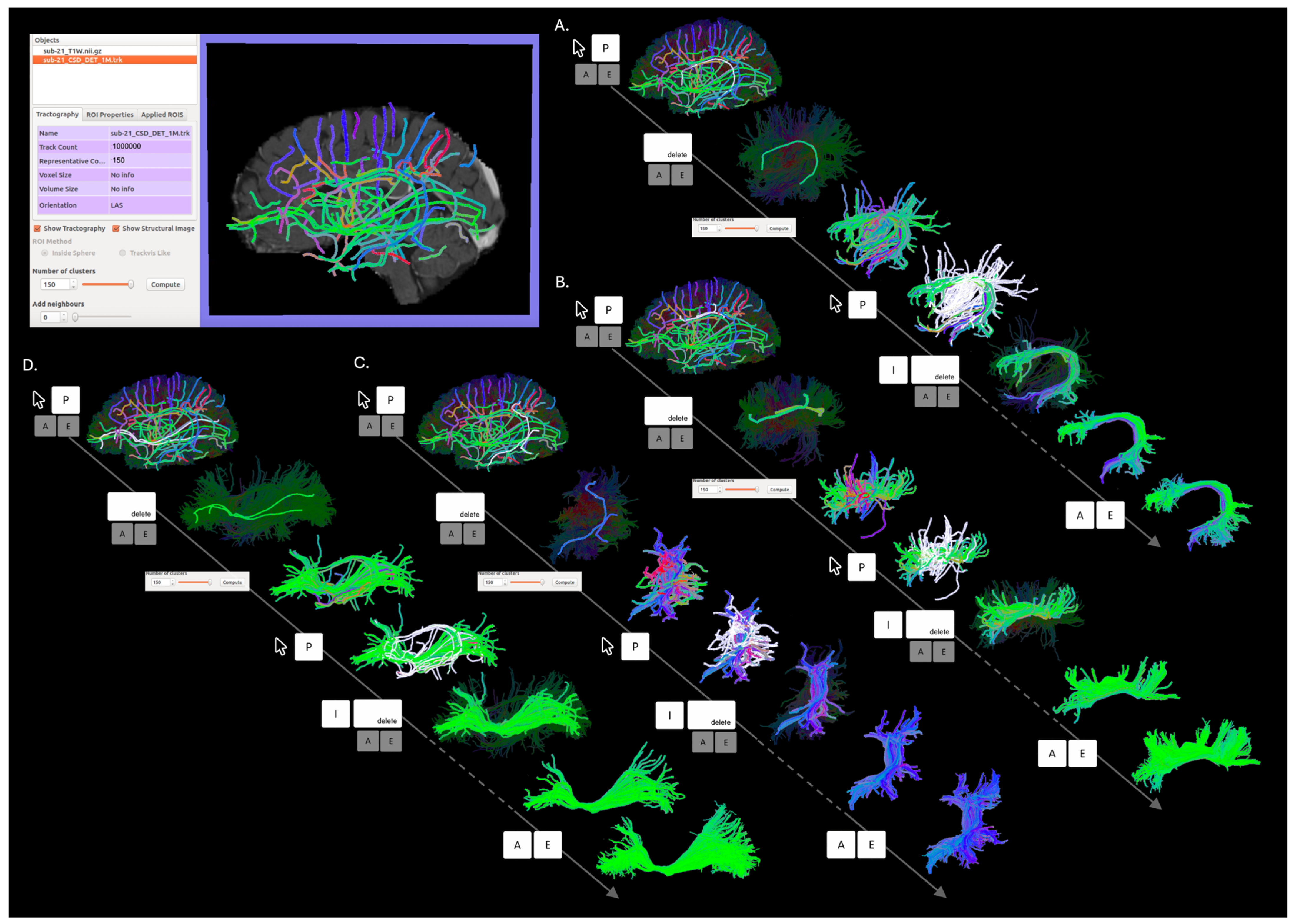 Brainsci 14 01232 g002