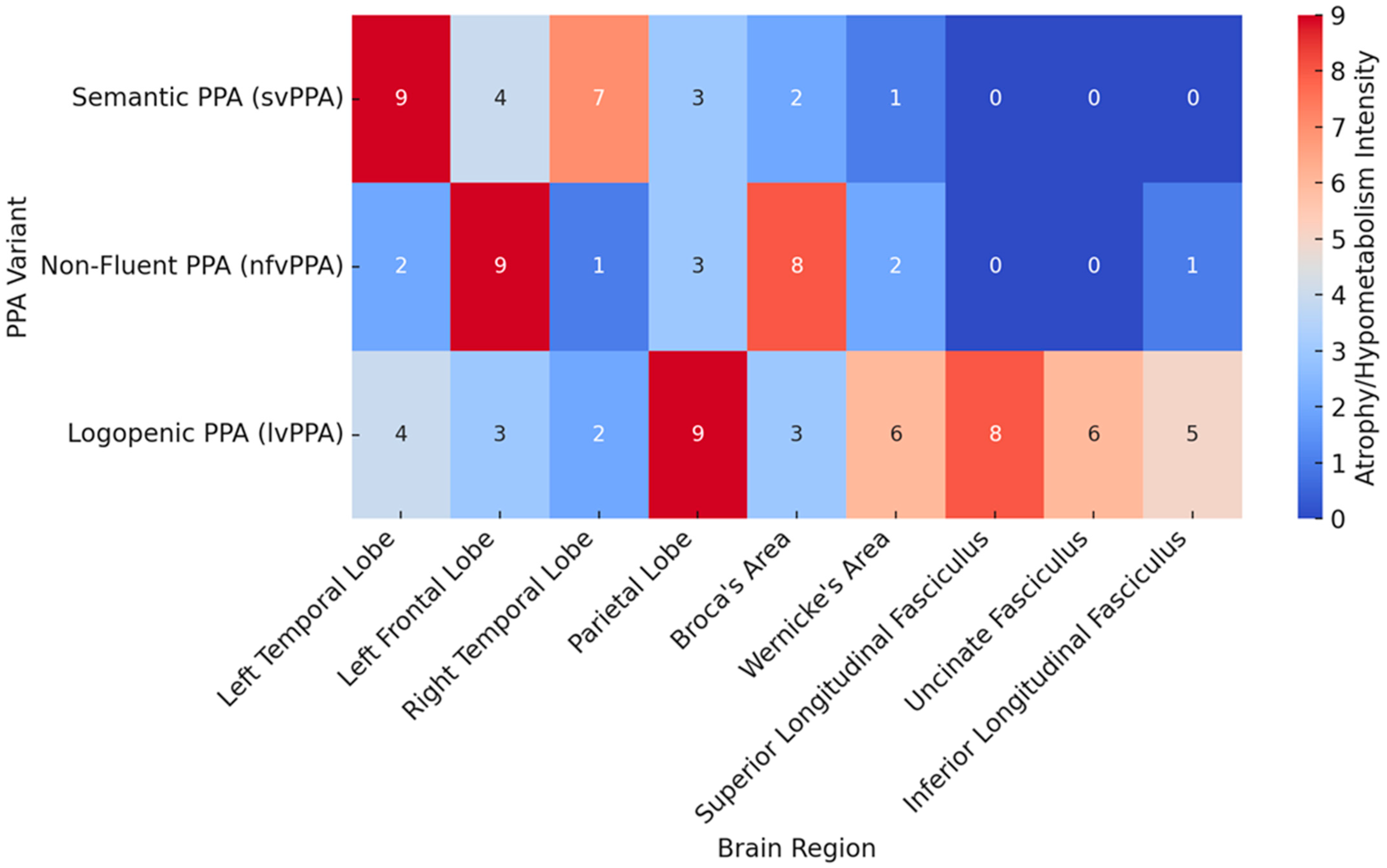 Brainsci 14 01234 g002