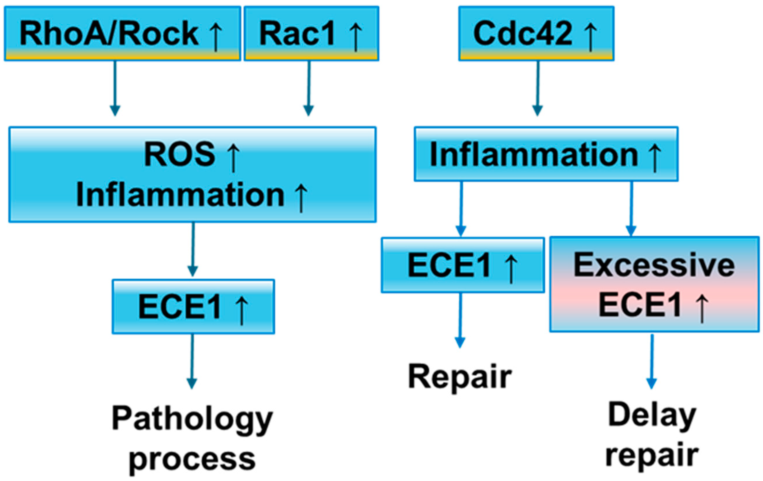 Brainsci 14 01239 g002 Brainsci 14 01239 g002