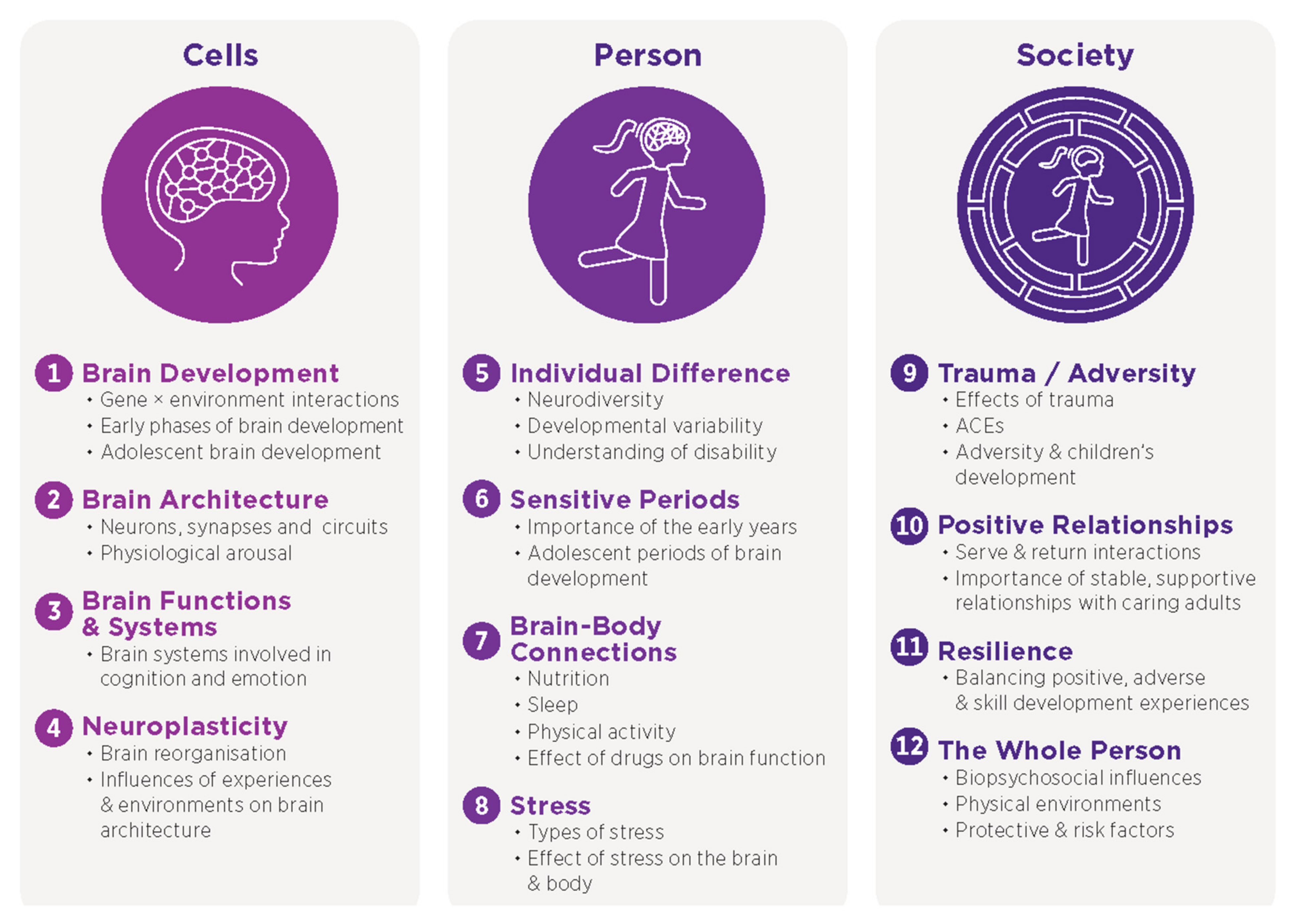 Brainsci 14 01243 g003