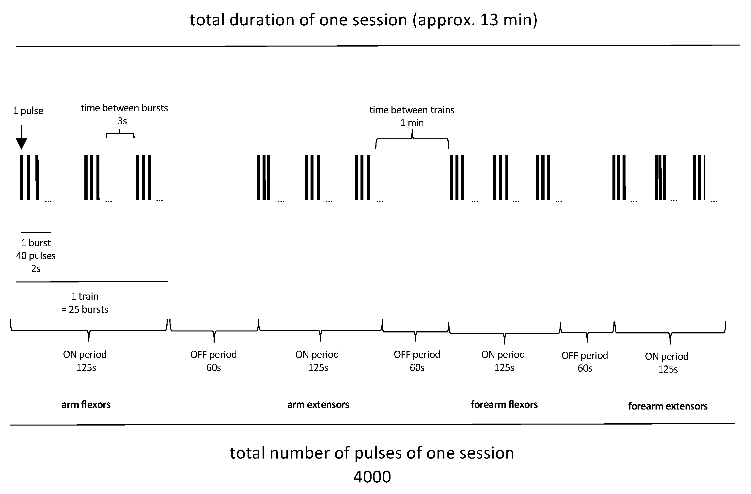 Brainsci 14 01249 g001