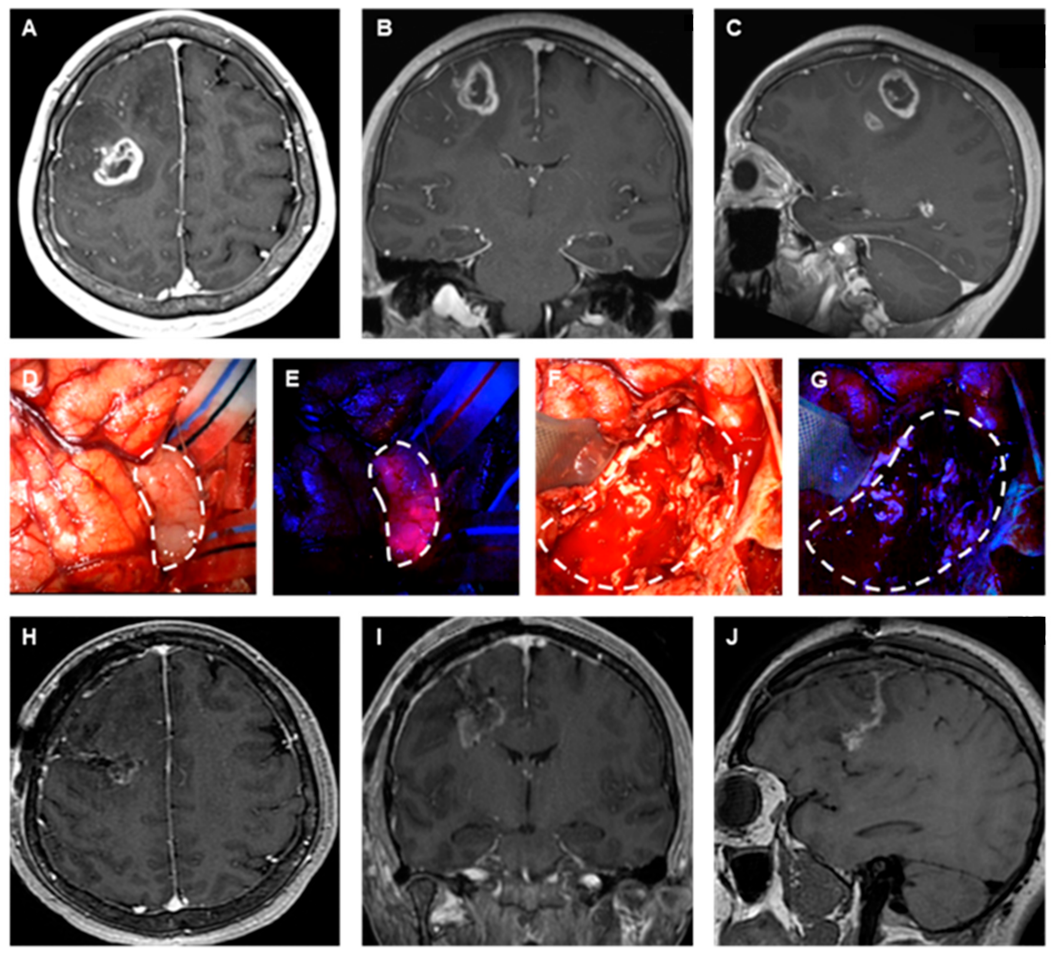 Brainsci 14 01253 g002