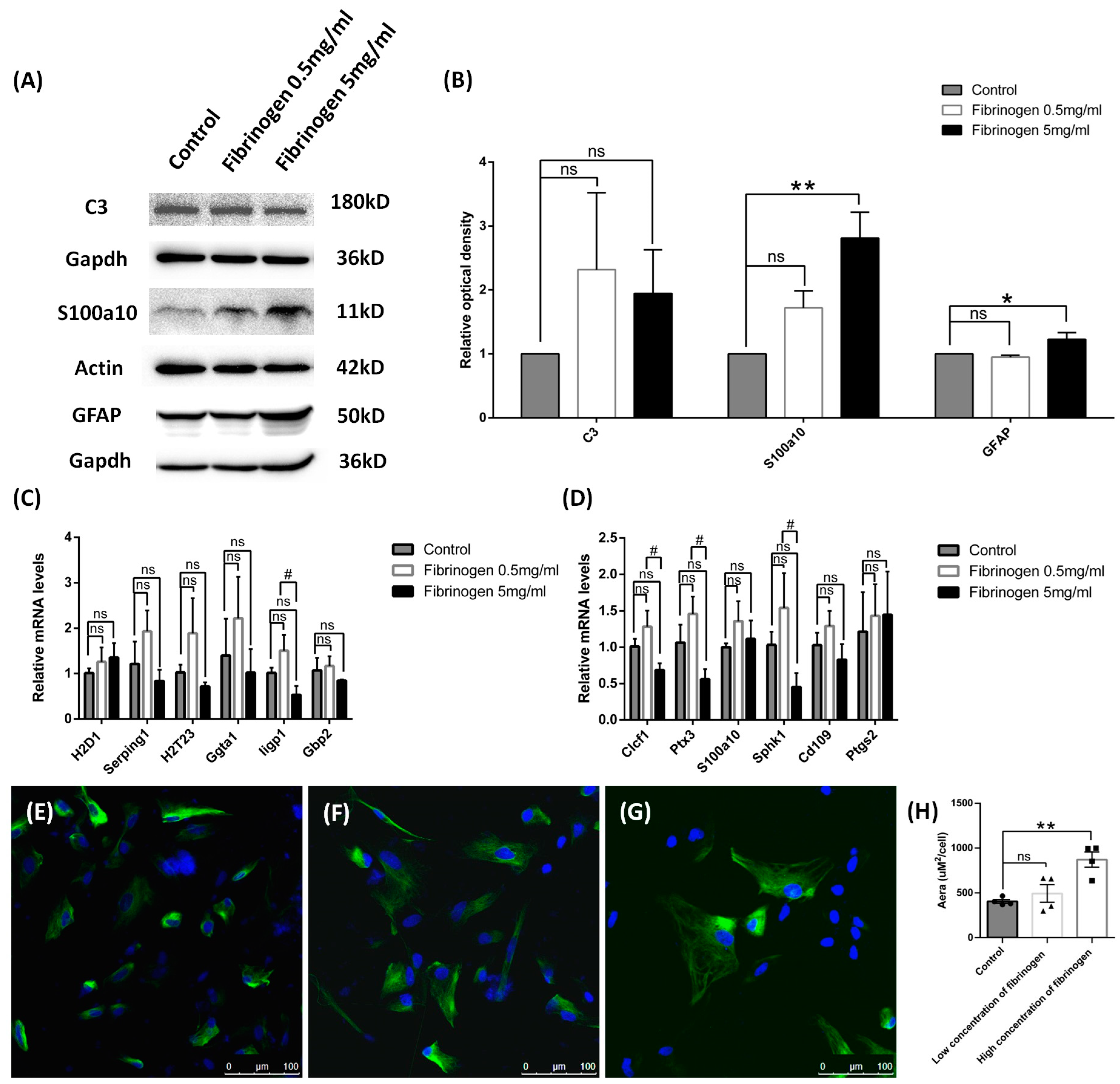 Brainsci 14 01256 g007