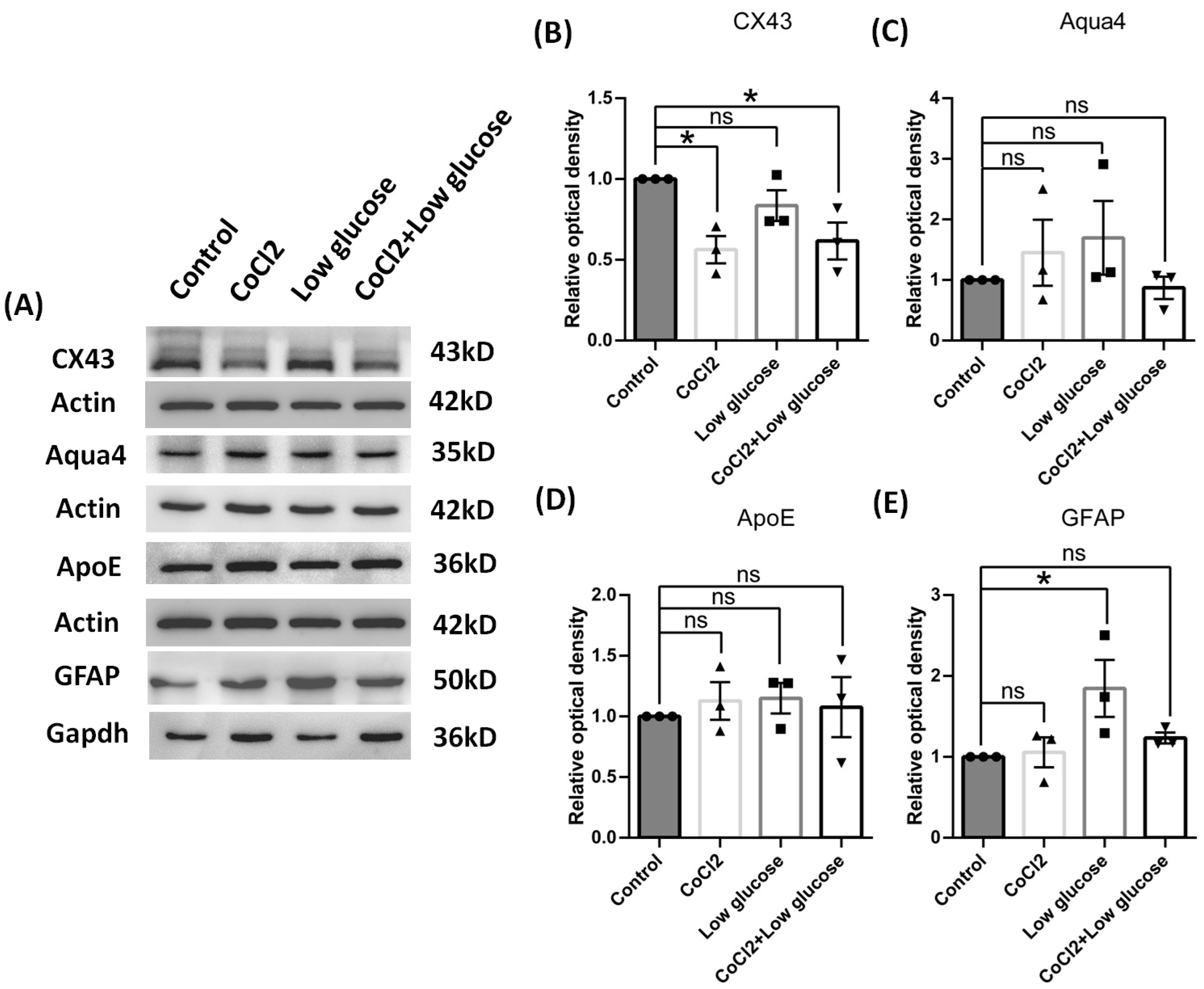Brainsci 14 01256 g008