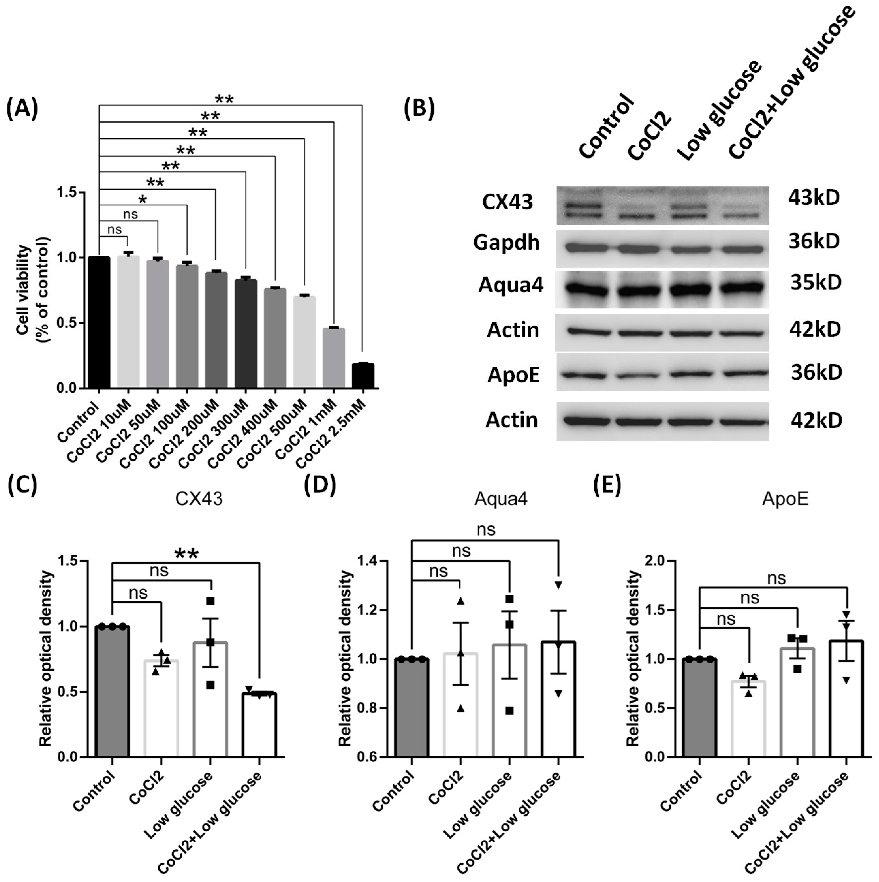 Brainsci 14 01256 g009