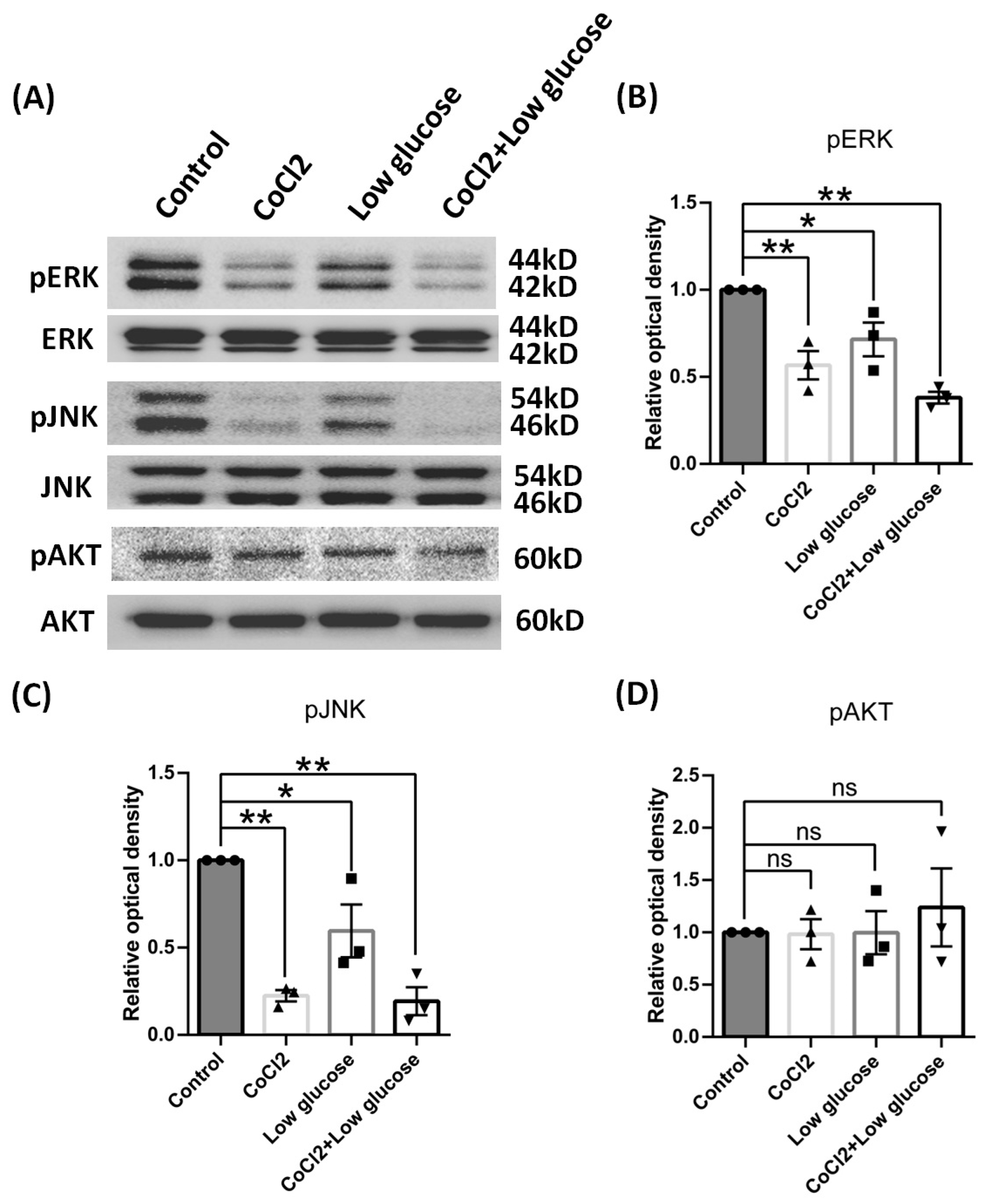 Brainsci 14 01256 g010