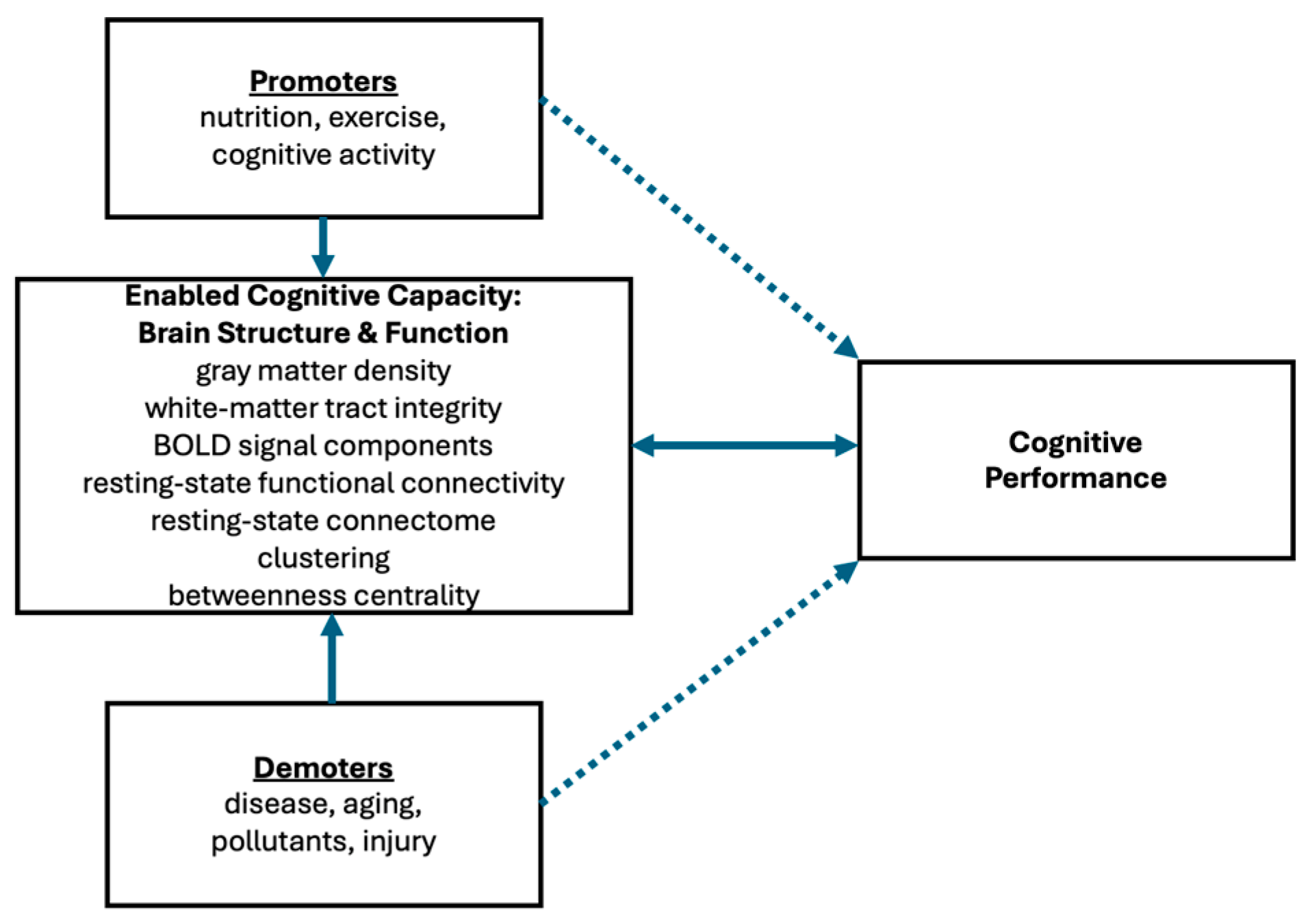 Brainsci 14 01265 g001
