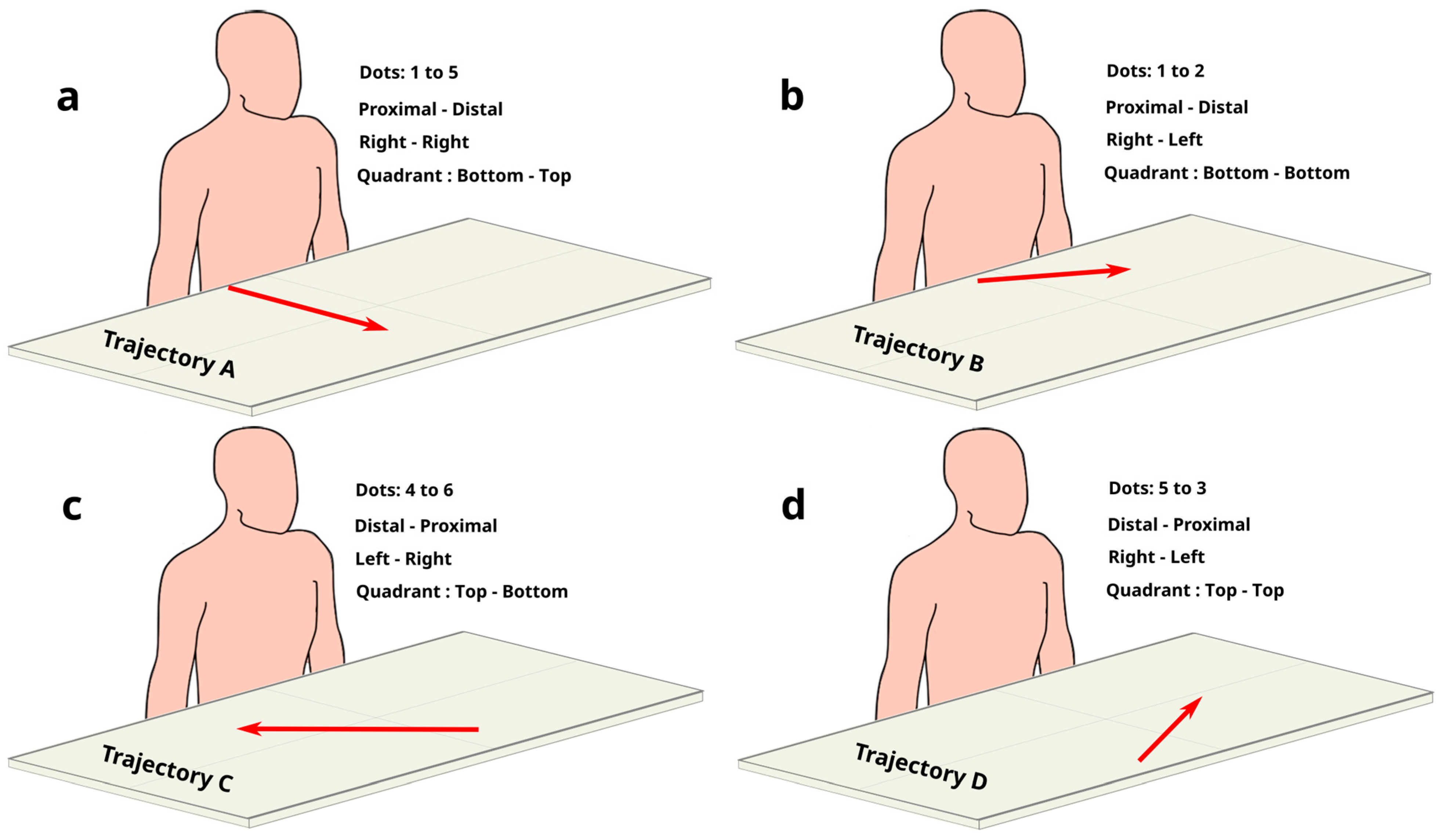 Brainsci 14 01270 g001