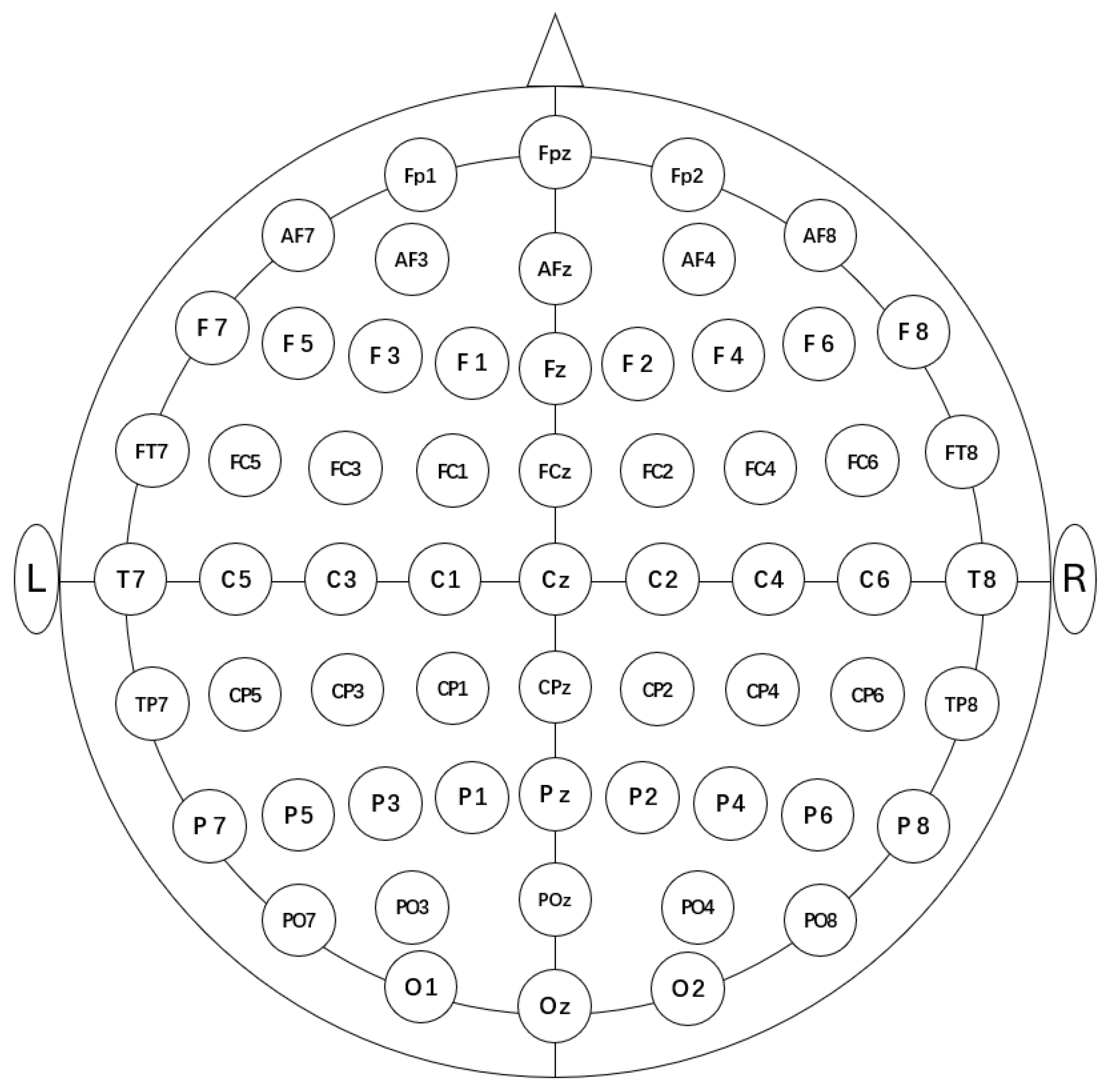 Brainsci 14 01271 g001 Brainsci 14 01271 g001