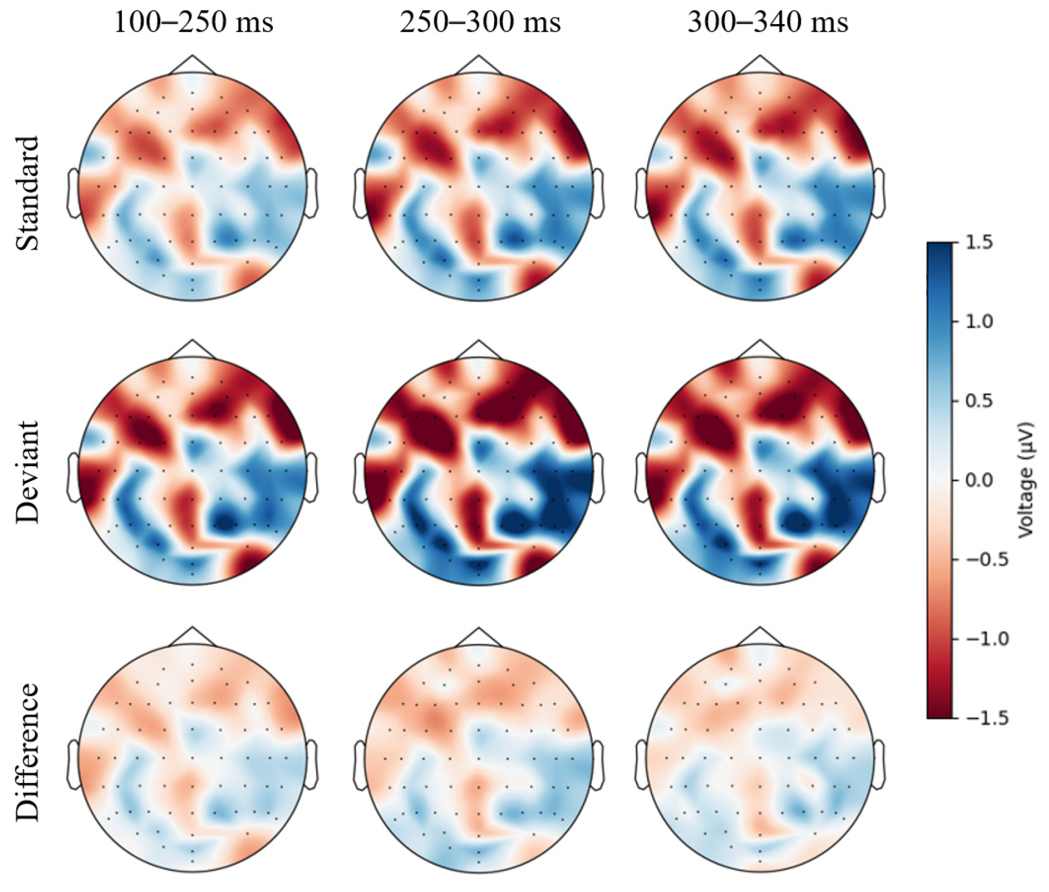 Brainsci 14 01271 g004 Brainsci 14 01271 g004