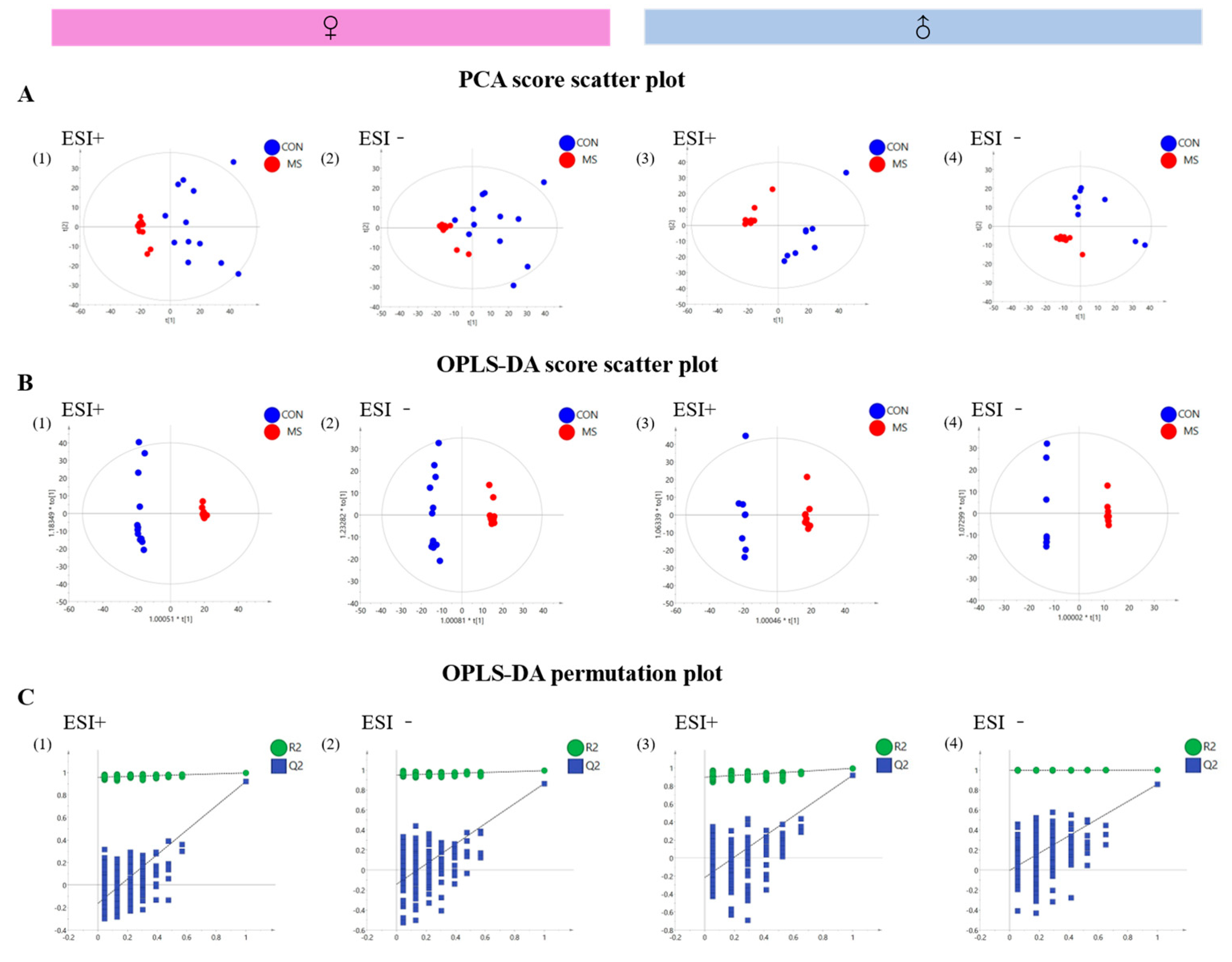 Brainsci 14 01275 g007