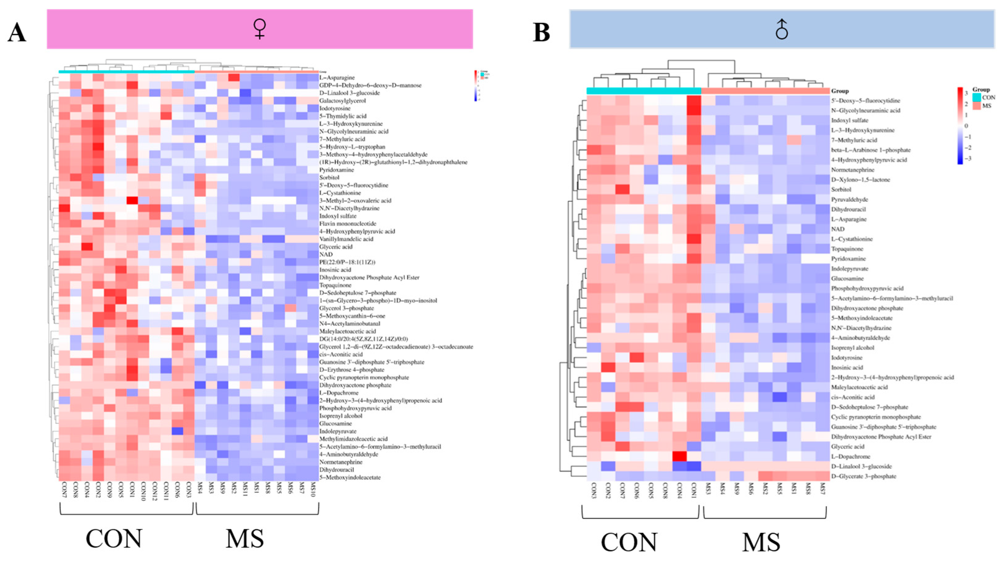 Brainsci 14 01275 g008