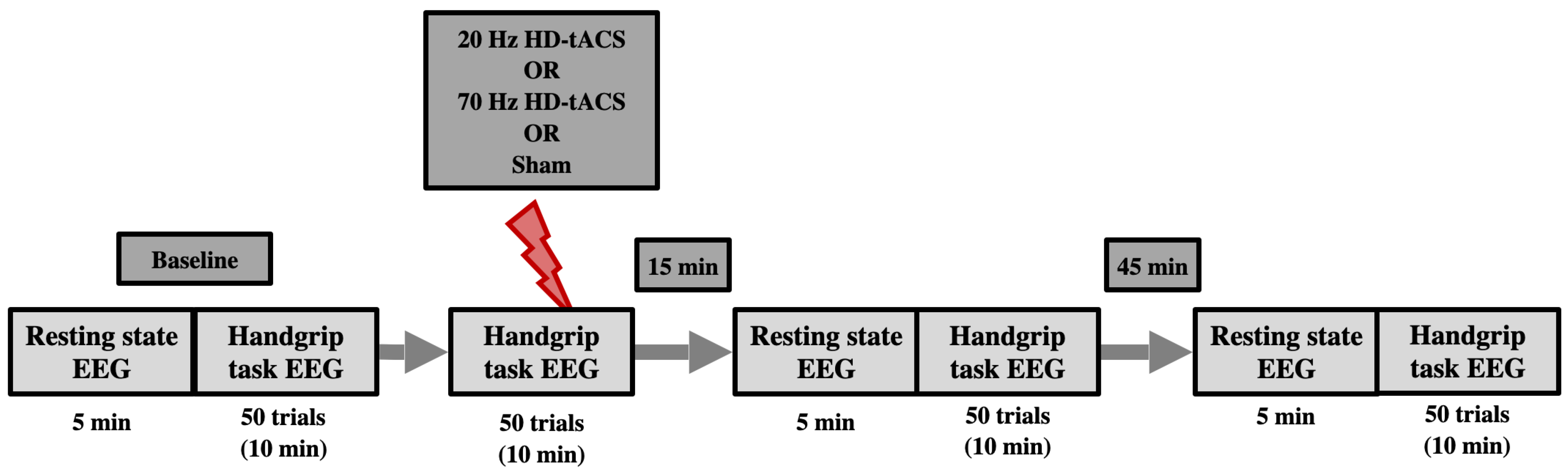Brainsci 14 01284 g001