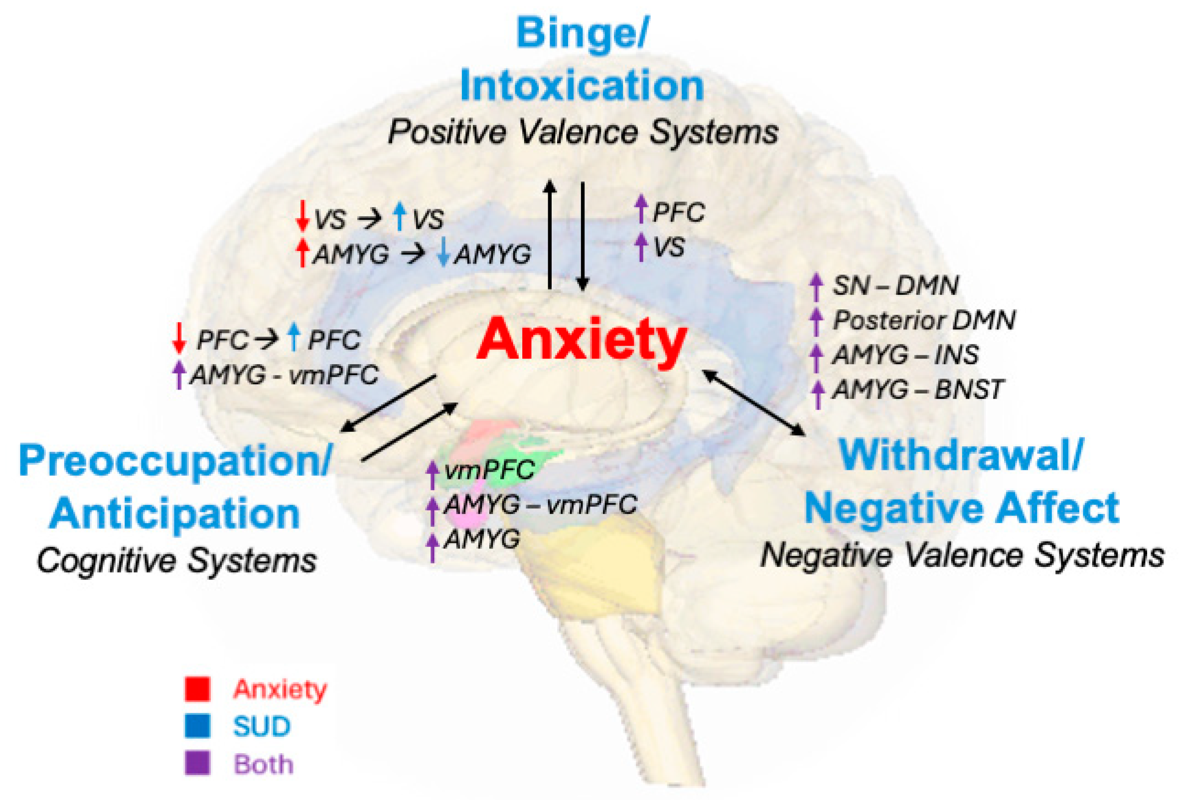 Brainsci 14 01285 g002 Brainsci 14 01285 g002