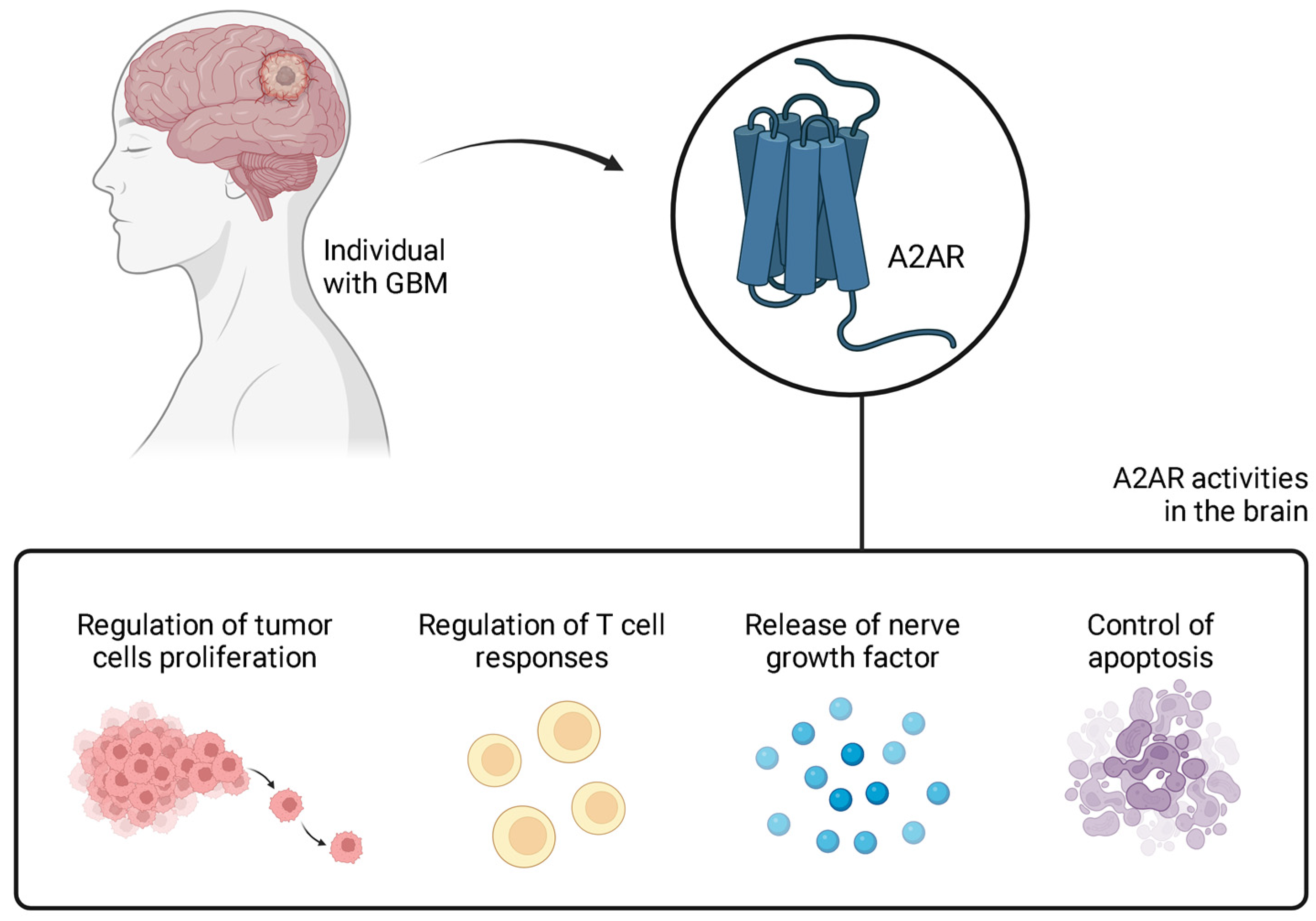 Brainsci 14 01286 g001 Brainsci 14 01286 g001