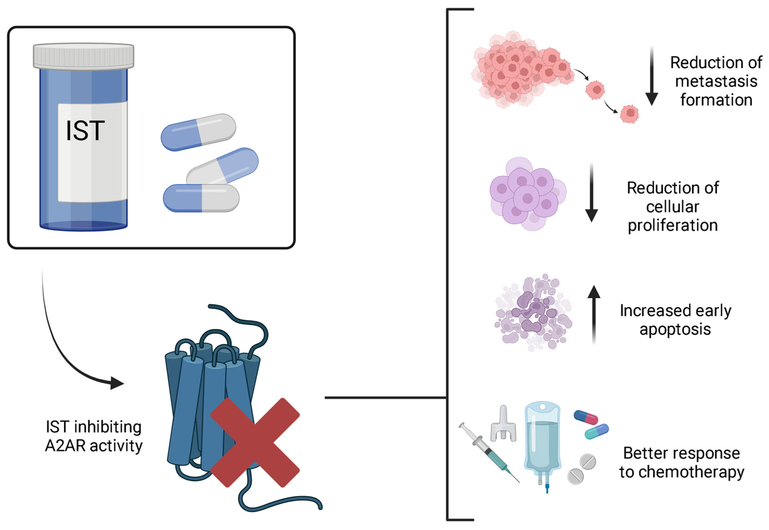 Brainsci 14 01286 g002 Brainsci 14 01286 g002