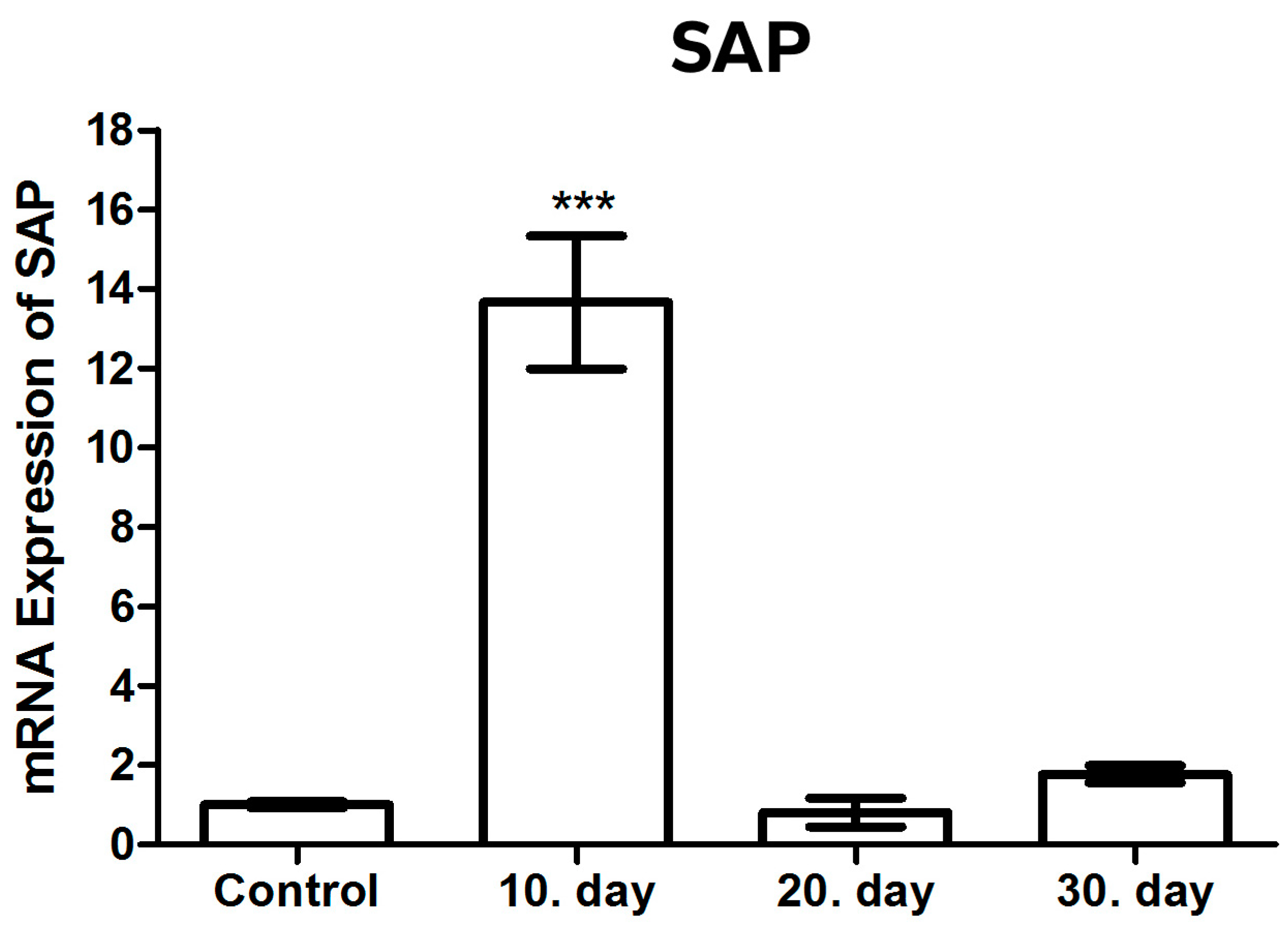 Brainsci 14 01298 g003 Brainsci 14 01298 g003