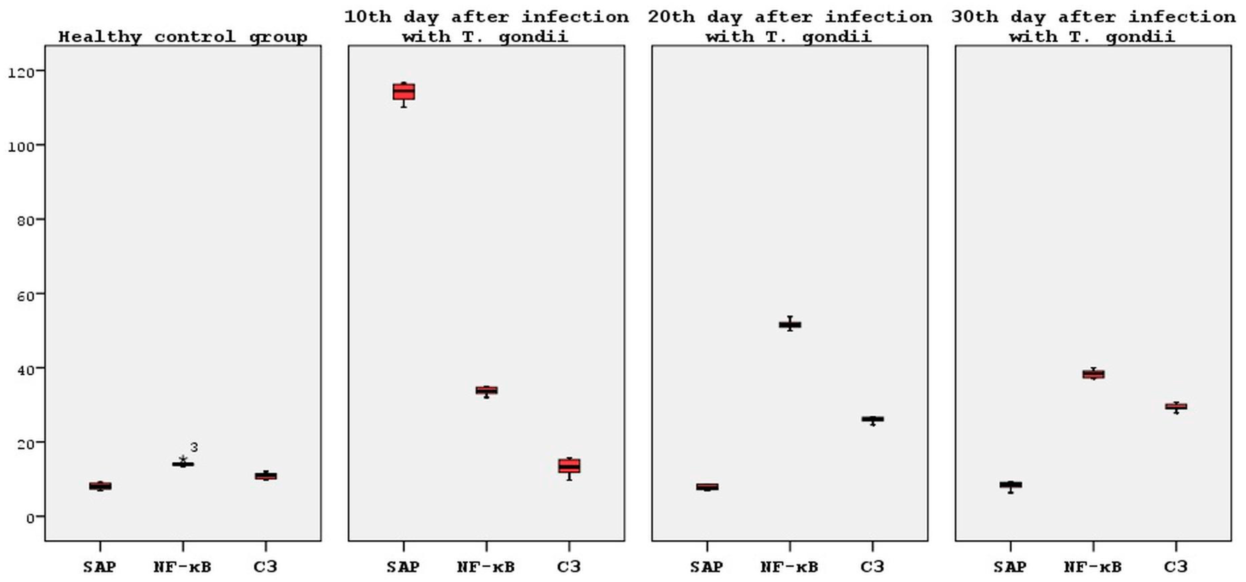Brainsci 14 01298 g004 Brainsci 14 01298 g004