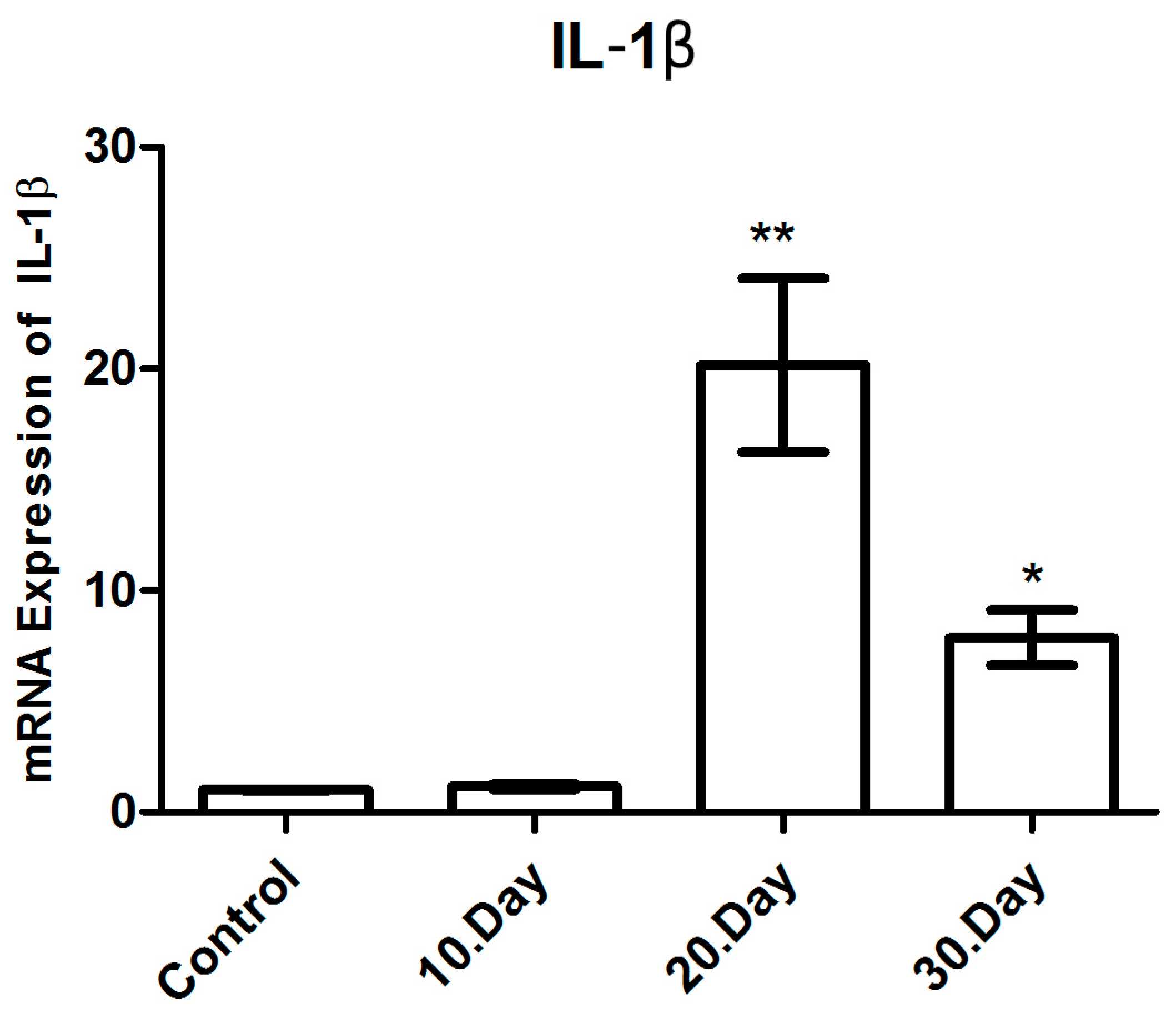 Brainsci 14 01298 g007 Brainsci 14 01298 g007