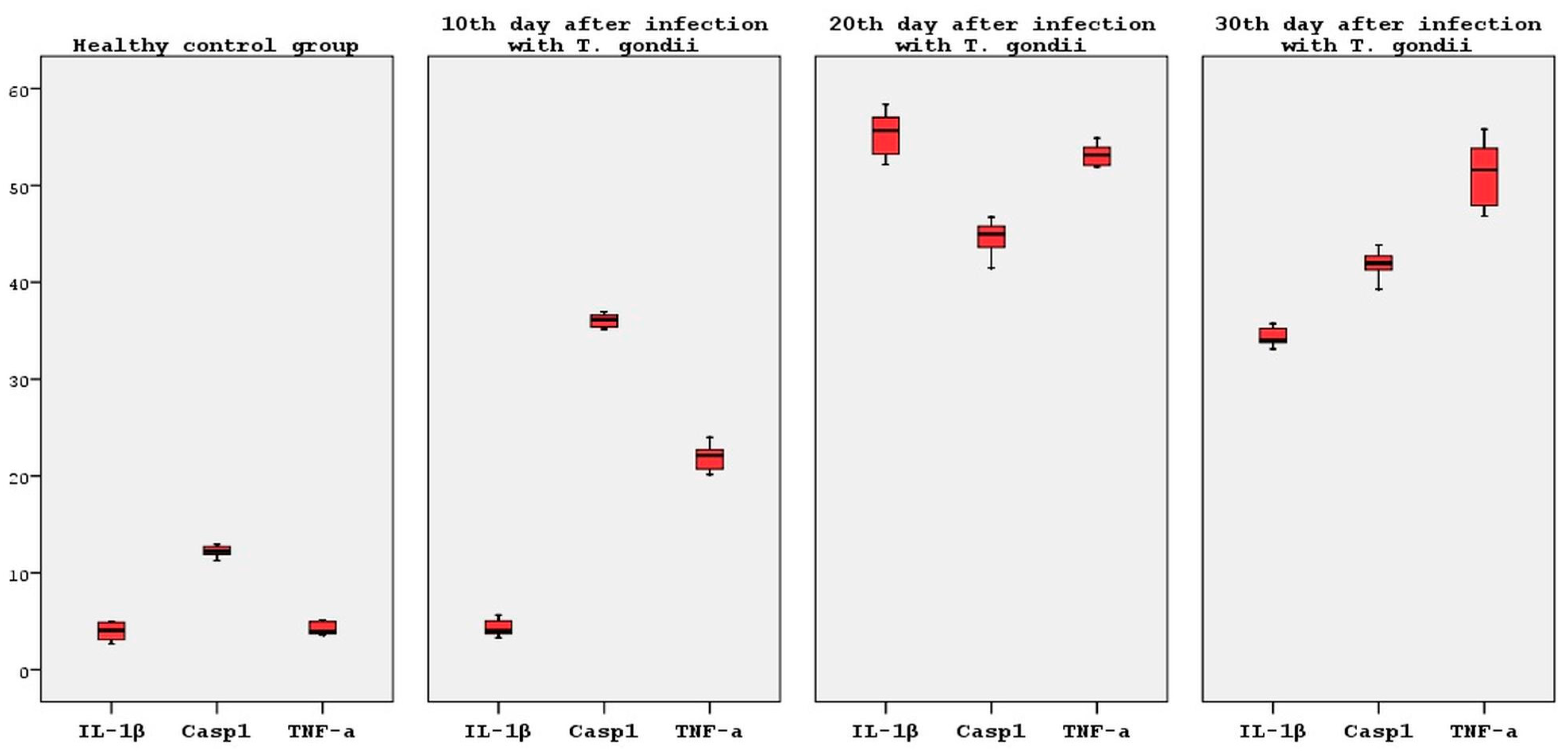 Brainsci 14 01298 g008 Brainsci 14 01298 g008