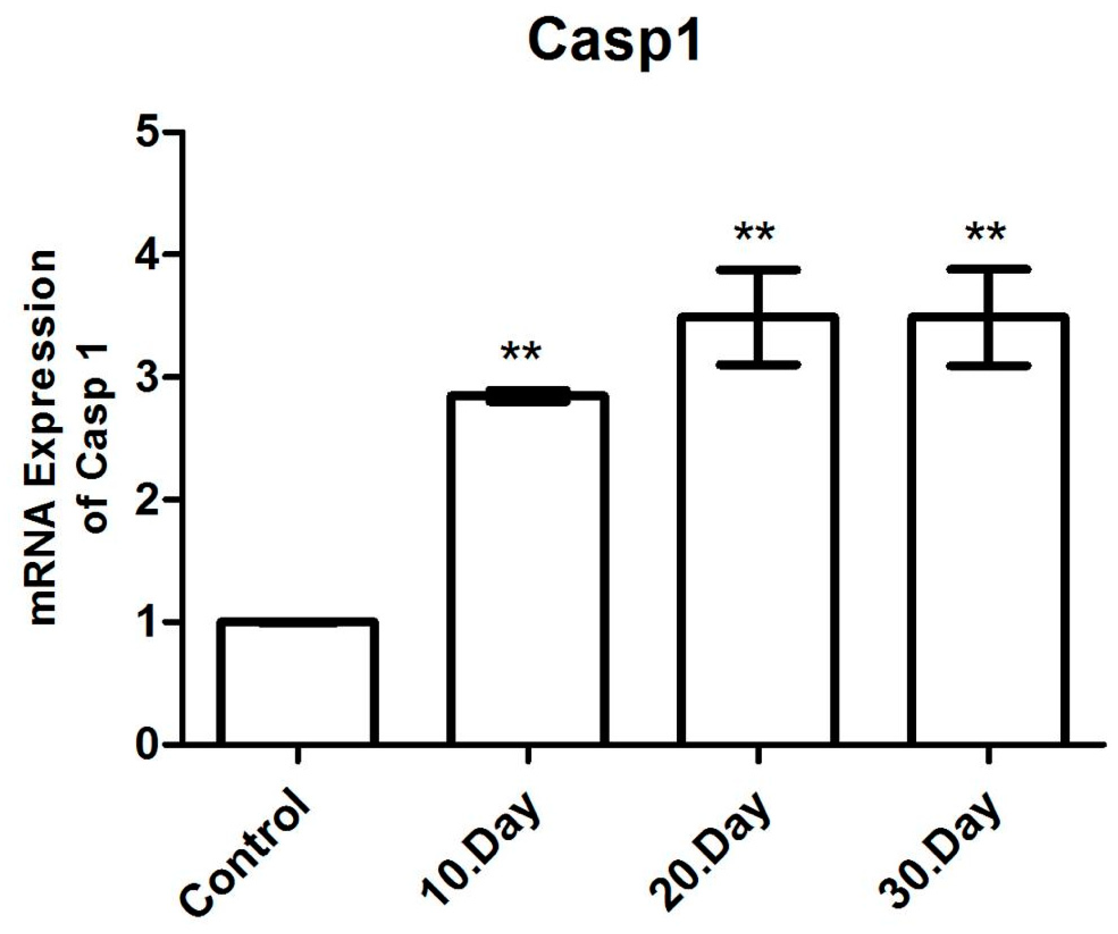 Brainsci 14 01298 g009 Brainsci 14 01298 g009
